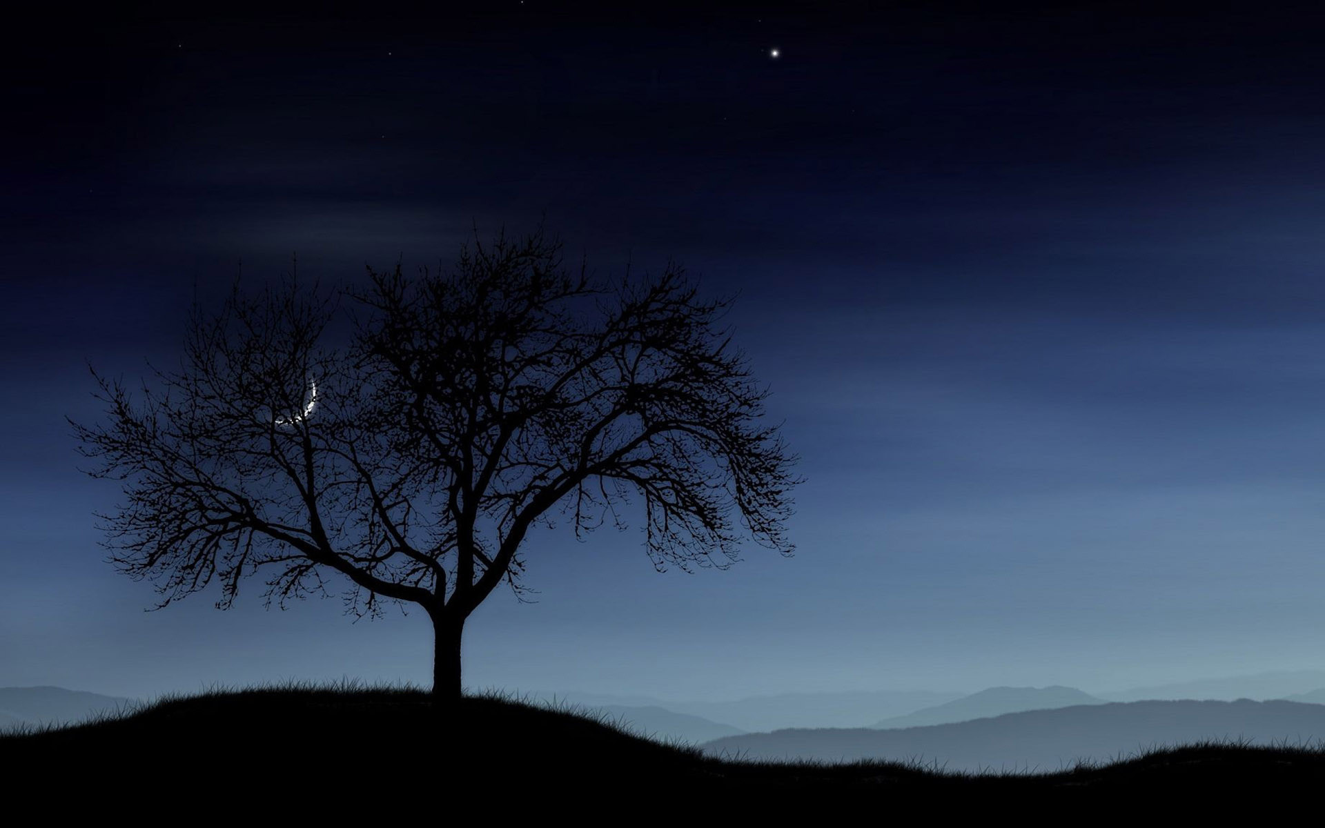 Ночь через три. Дерево ночью. Дерева в темноте. Природа ночью. Одинокое дерево.