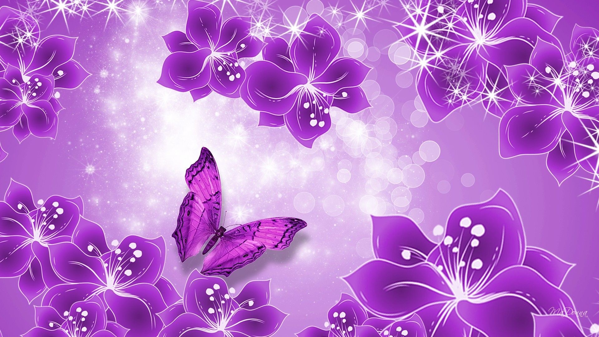 Cute Purple Flowers Wallpaper Wallpaper