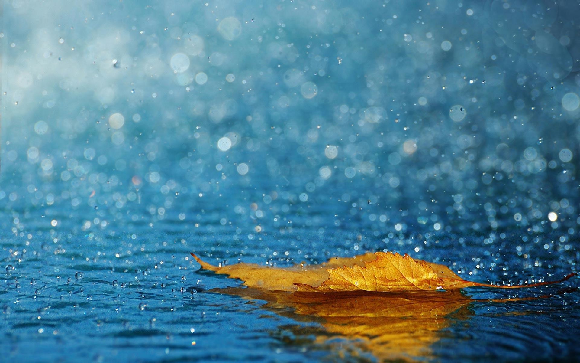Rain Wallpapers 82 Pictures