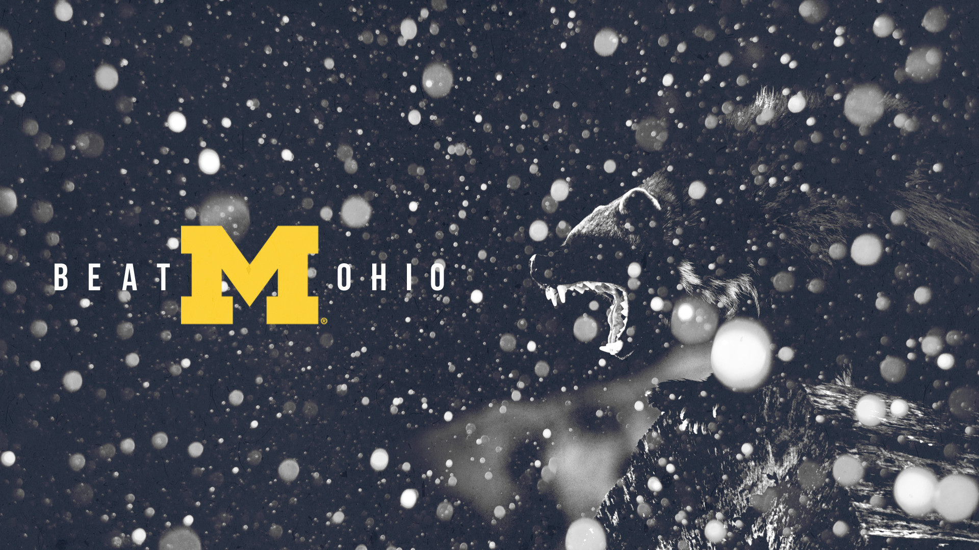 University of Michigan Wallpapers (59+ pictures)