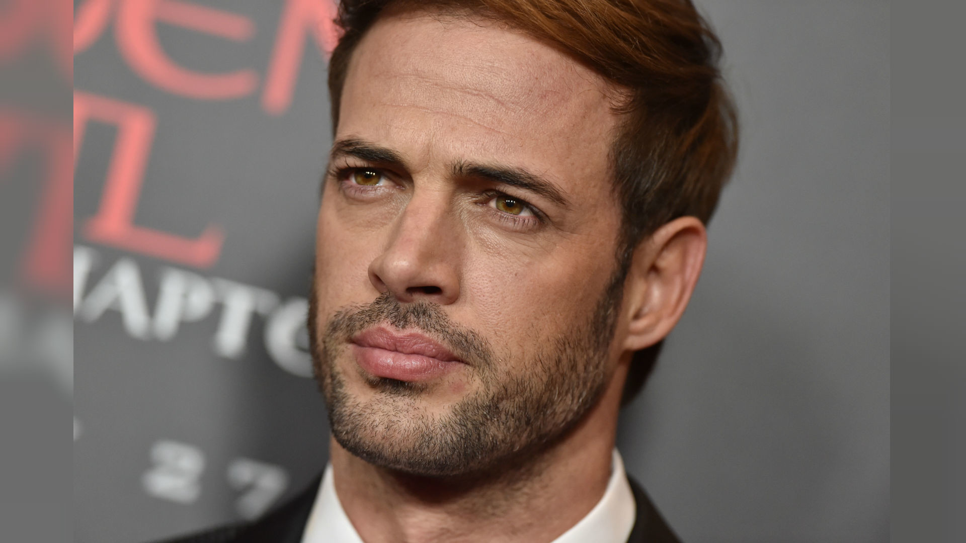 William Levy Wallpapers.