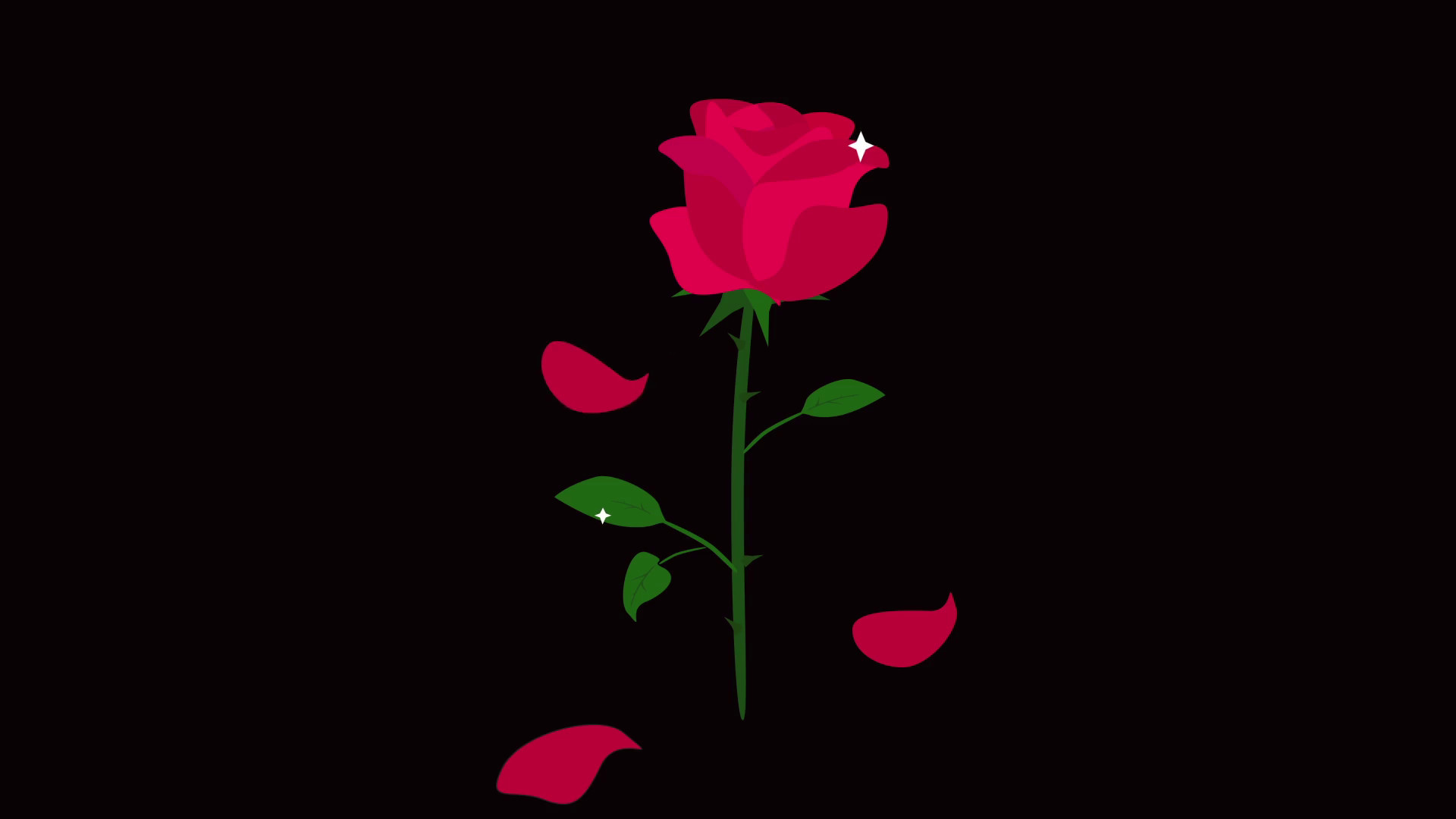 Best Of Red Roses Black Background Hd Wallpaper wallpaper