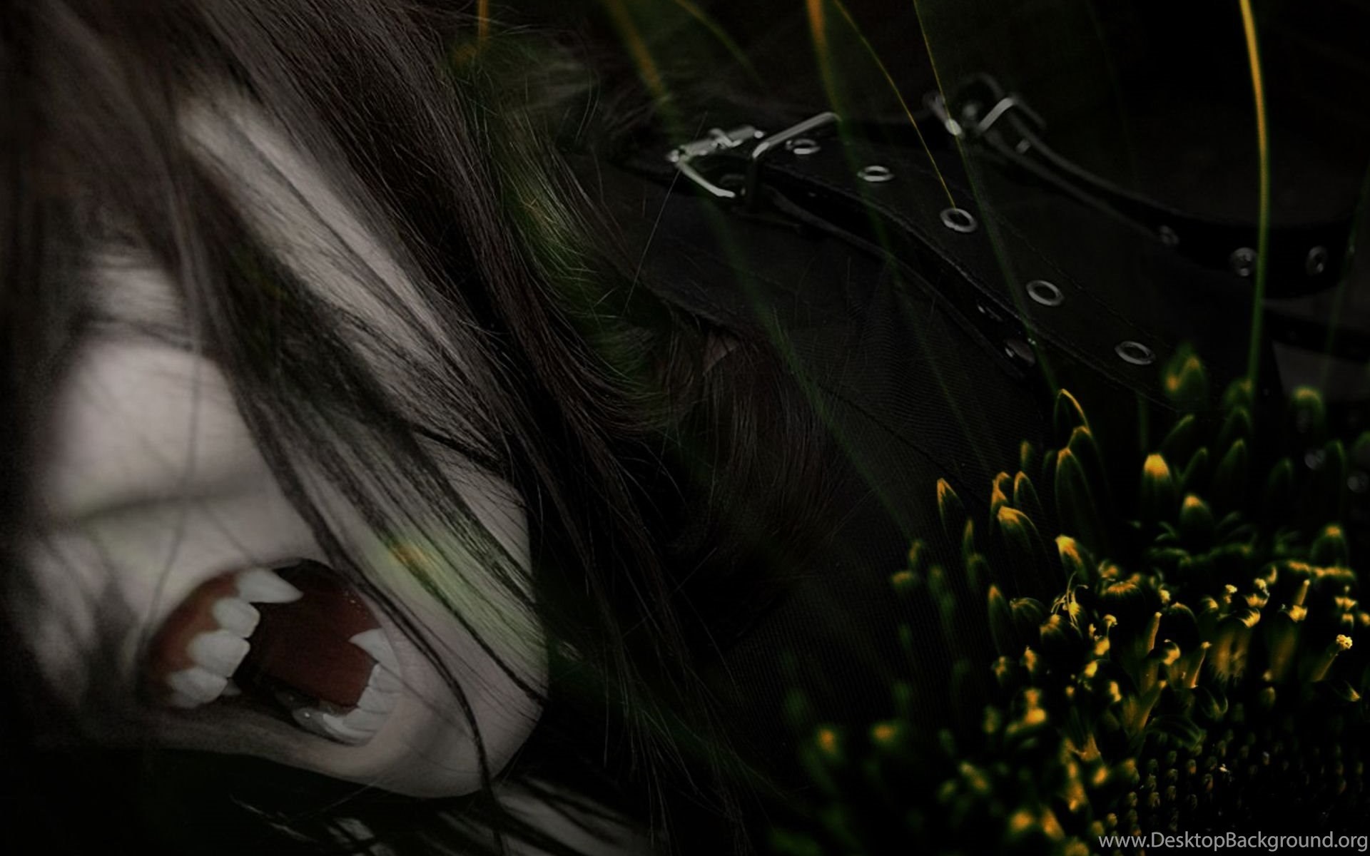 Widescreen 1920x1200