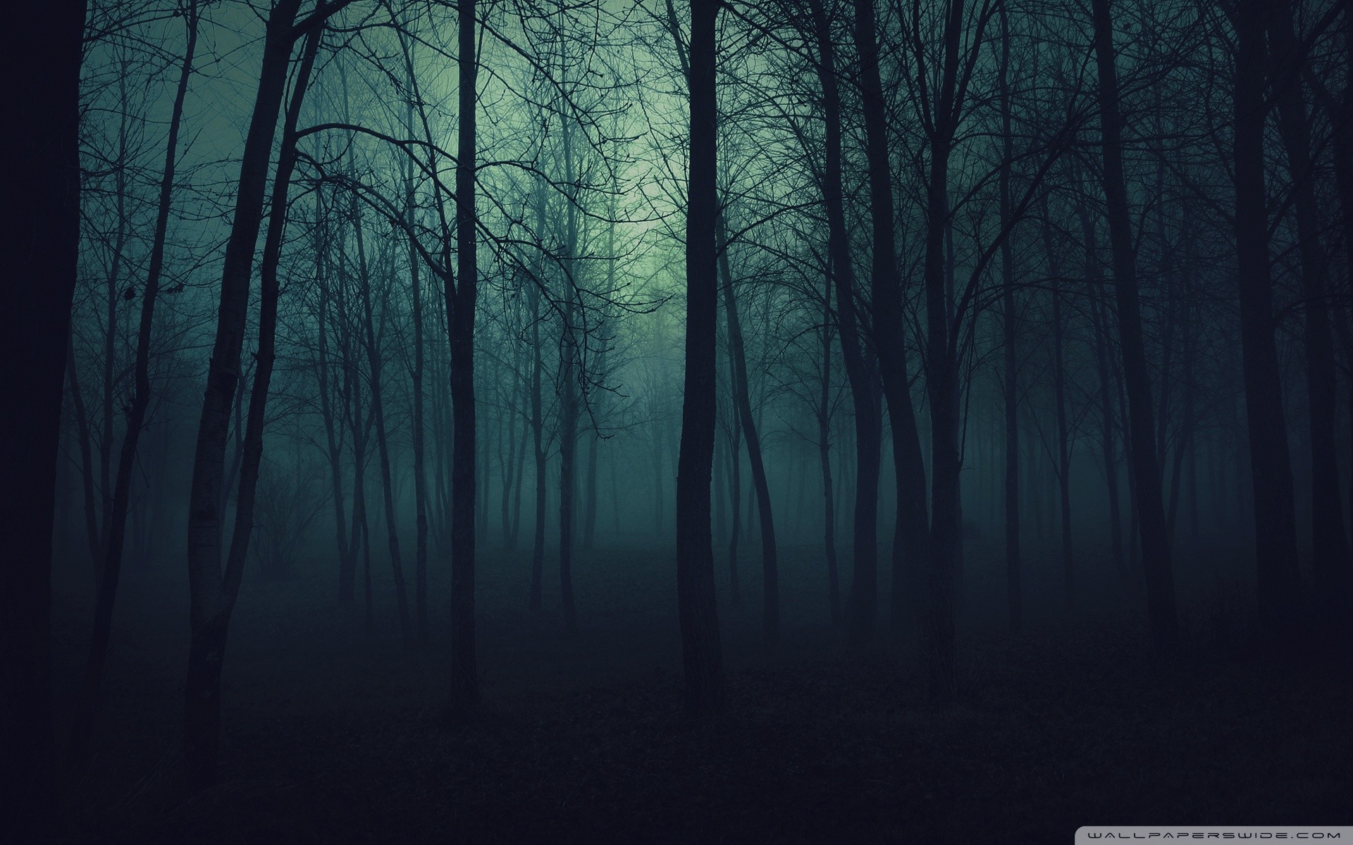 Wide ... 1920x1200