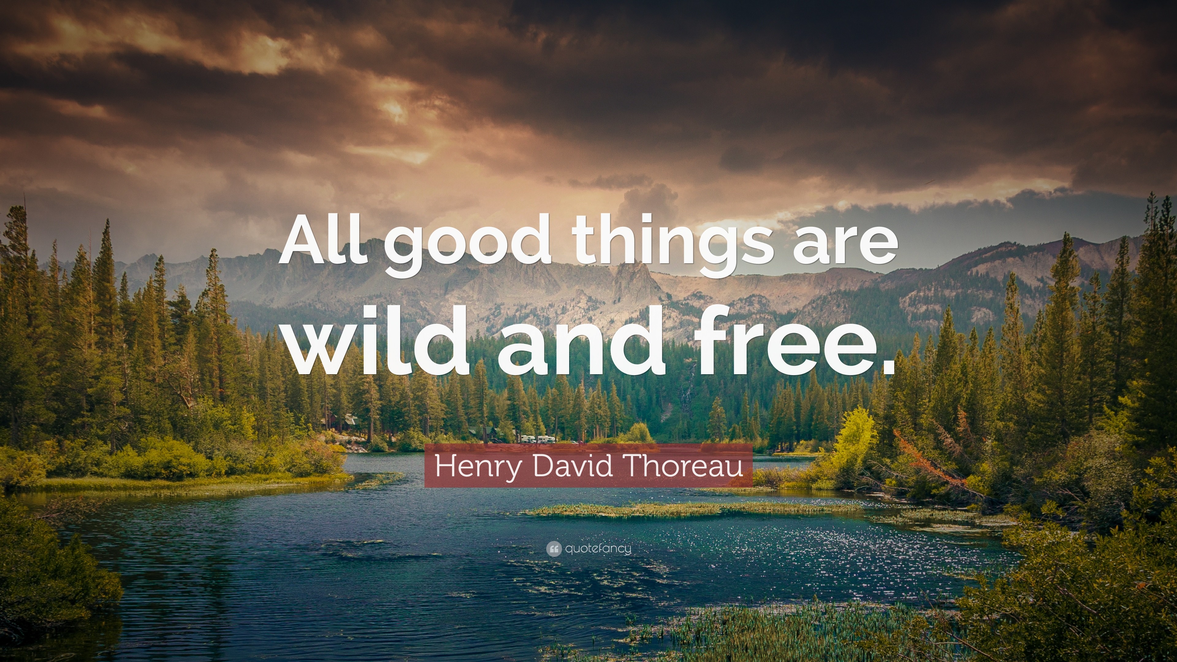 Nature Wallpaper with Quotes (65+ pictures)