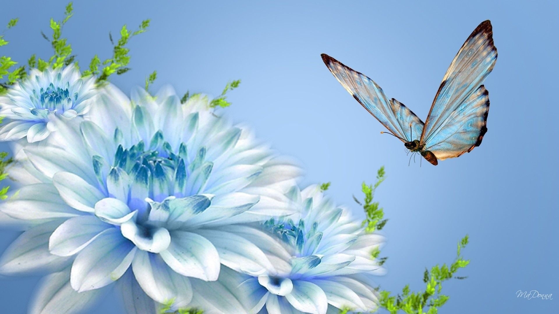 5. teal-flowers-wallpaper5-600x338 1920x1080