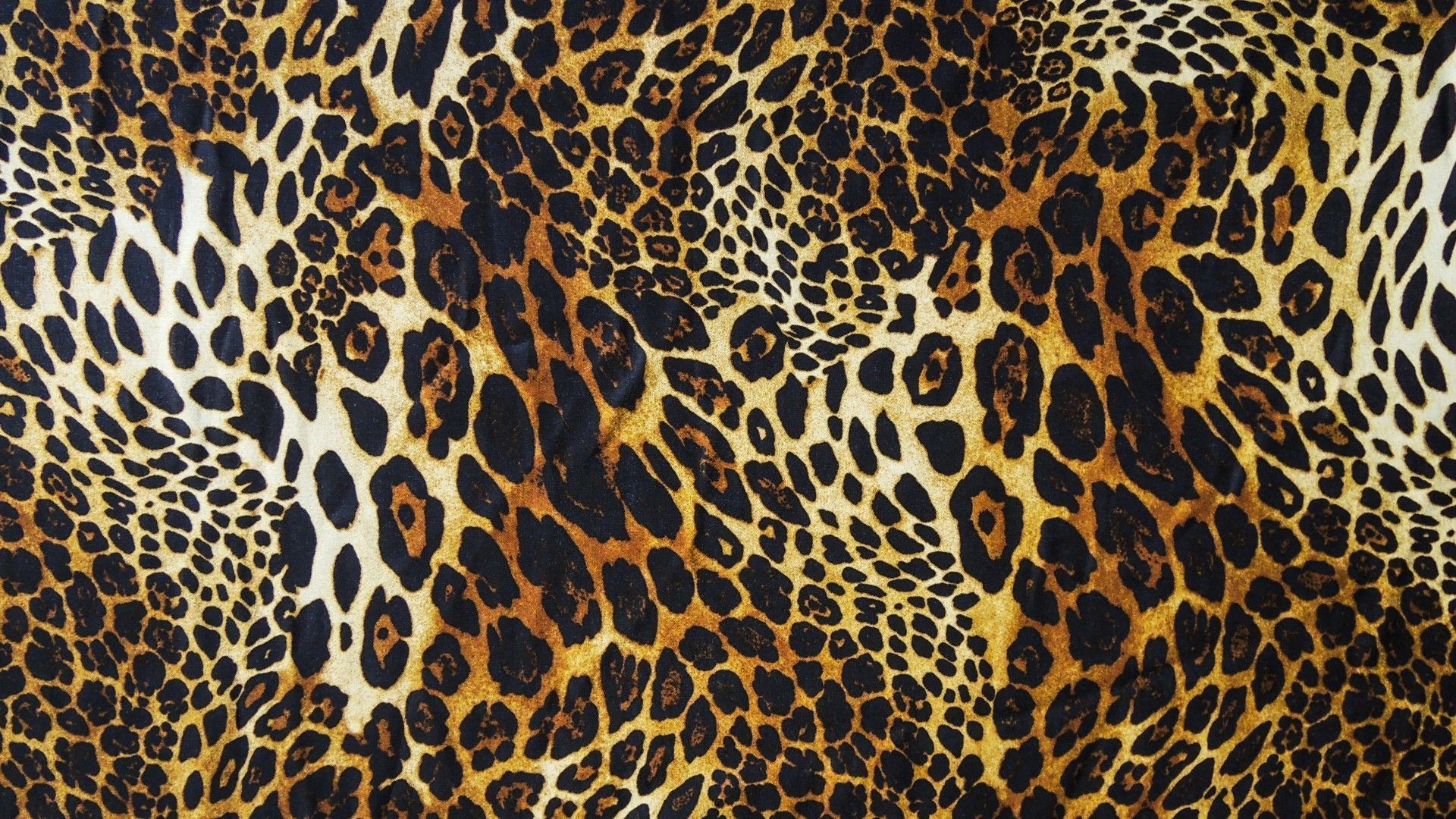 Cheetah Pattern Wallpaper Hd