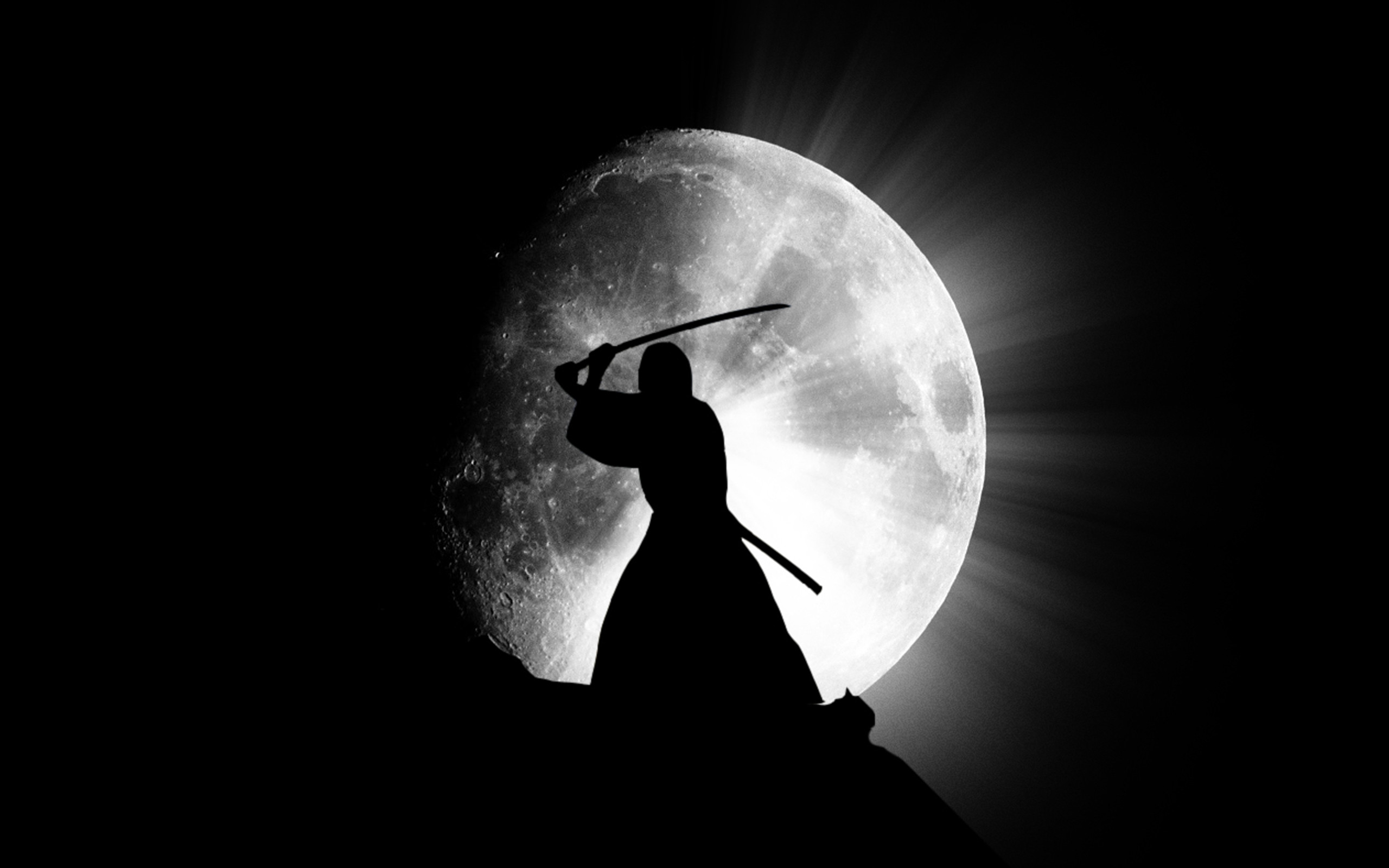 Samurai Wallpaper 7914 2560x1600