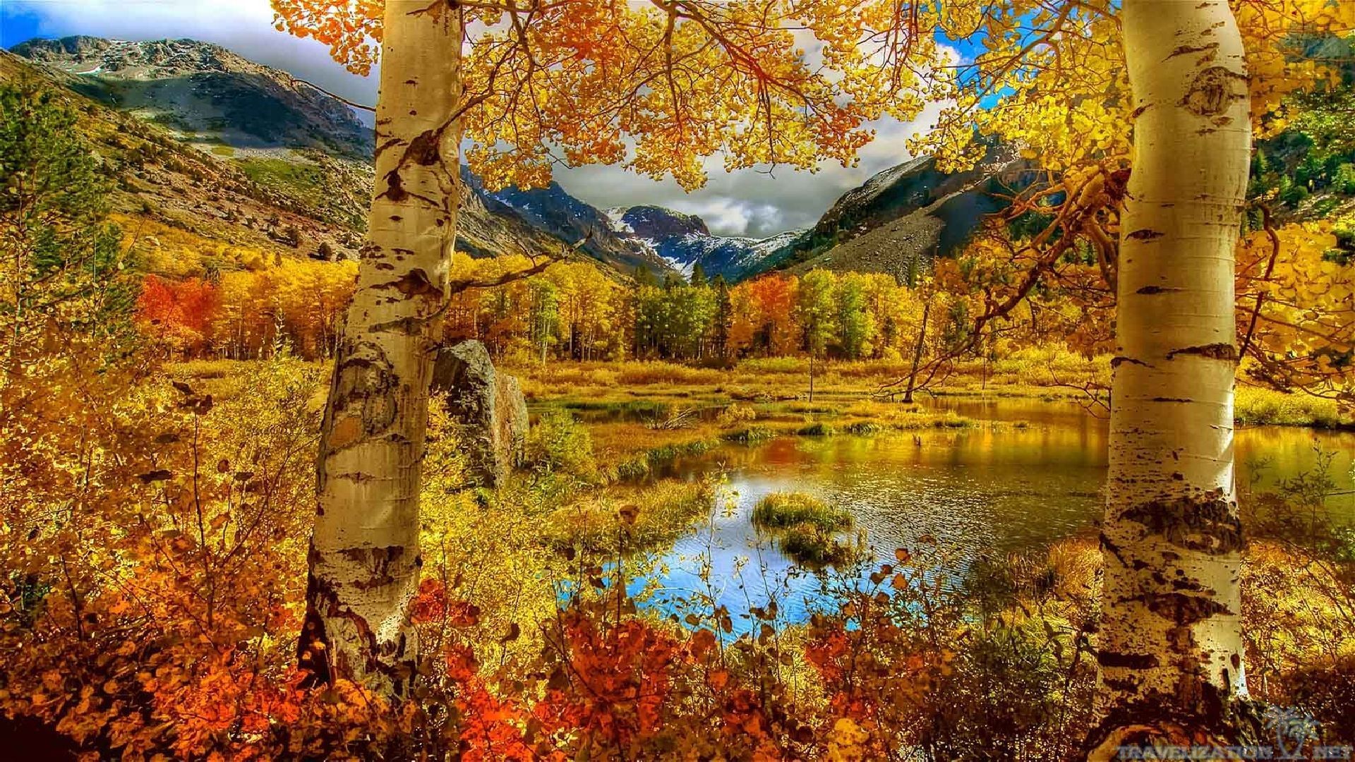 Autumn Scenes Wallpaper (63+ pictures)