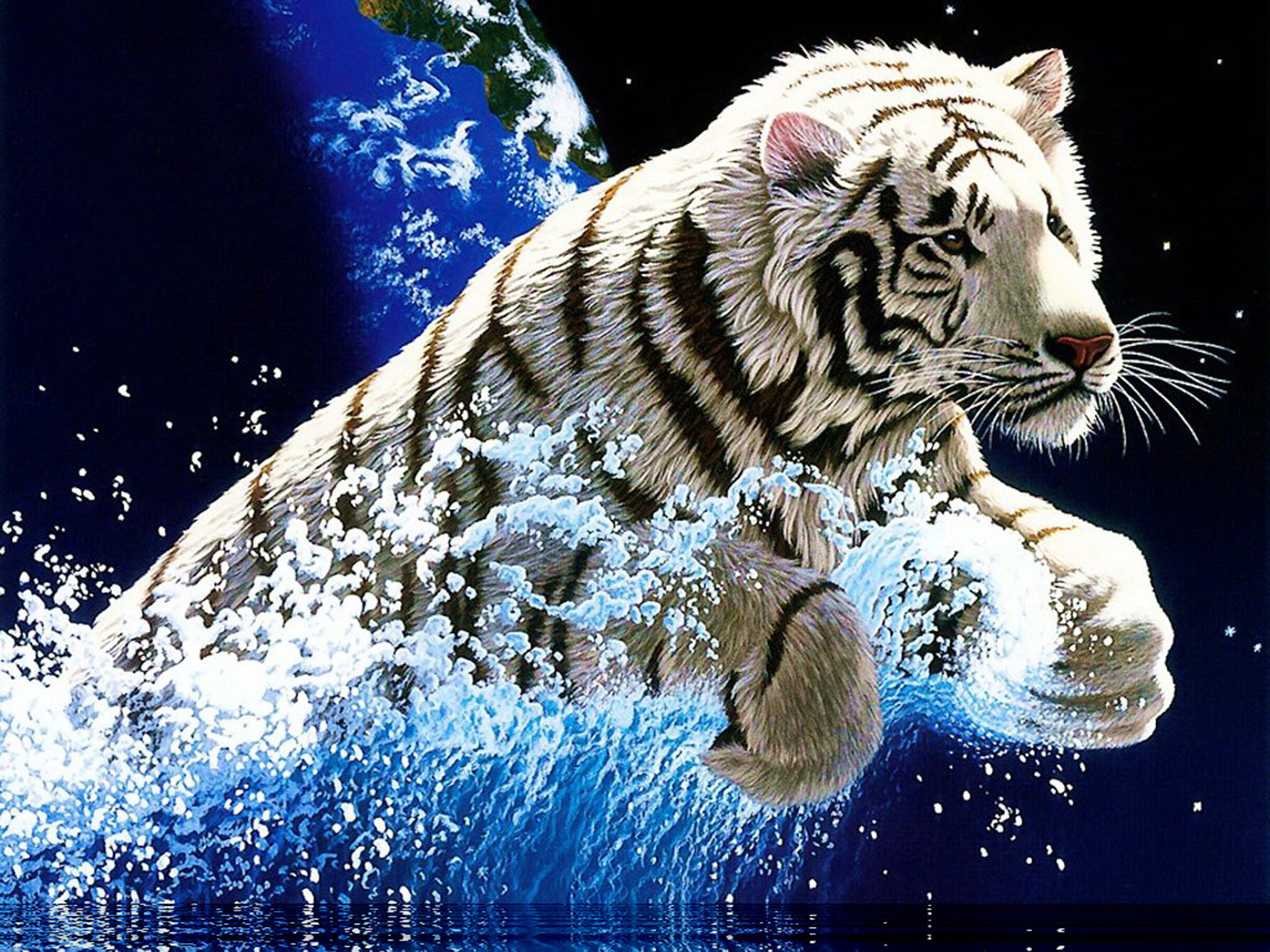White Tiger Wallpaper 63 Pictures