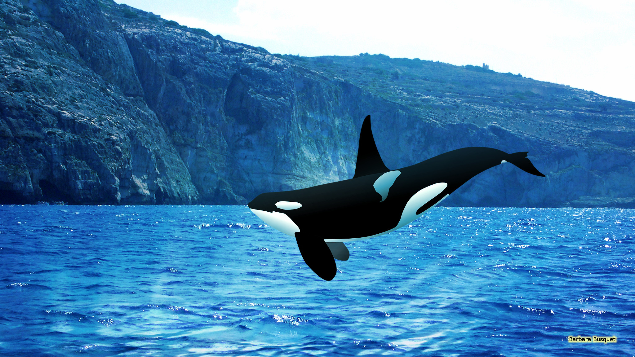 Killer Whales Wallpaper (58+ pictures)