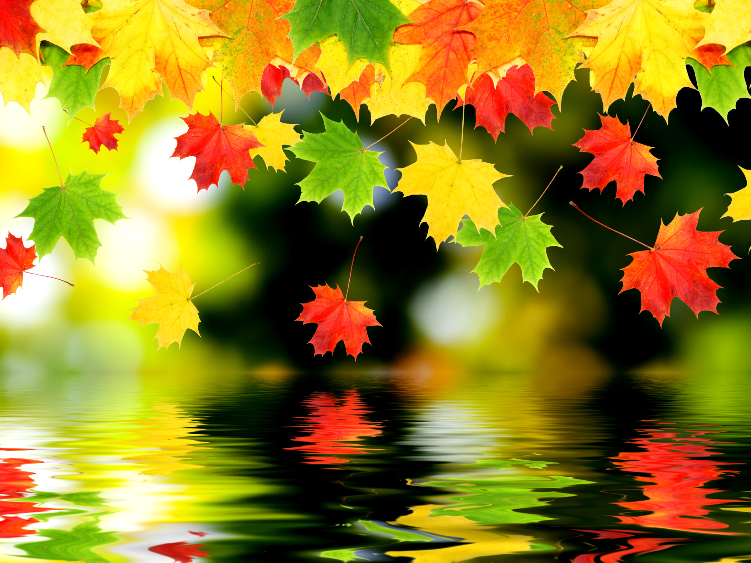 Earth - Fall Wallpaper 2560x1920