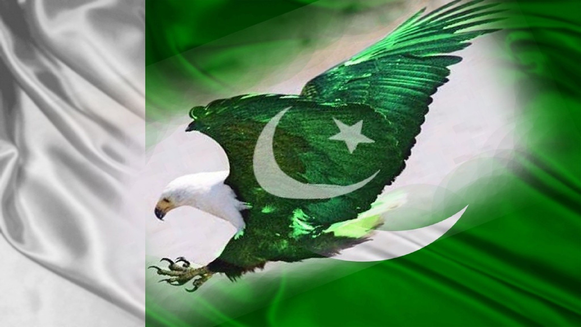 14 August 2024 Pakistani Flag Nail Art - wide 1