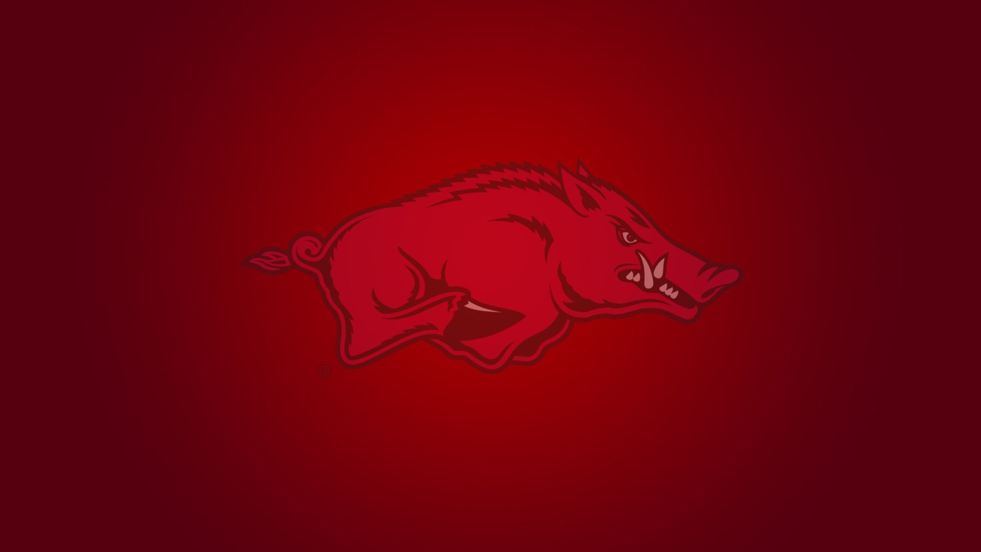 Download Welcome to the Home of the Arkansas Razorbacks Wallpaper   Wallpaperscom