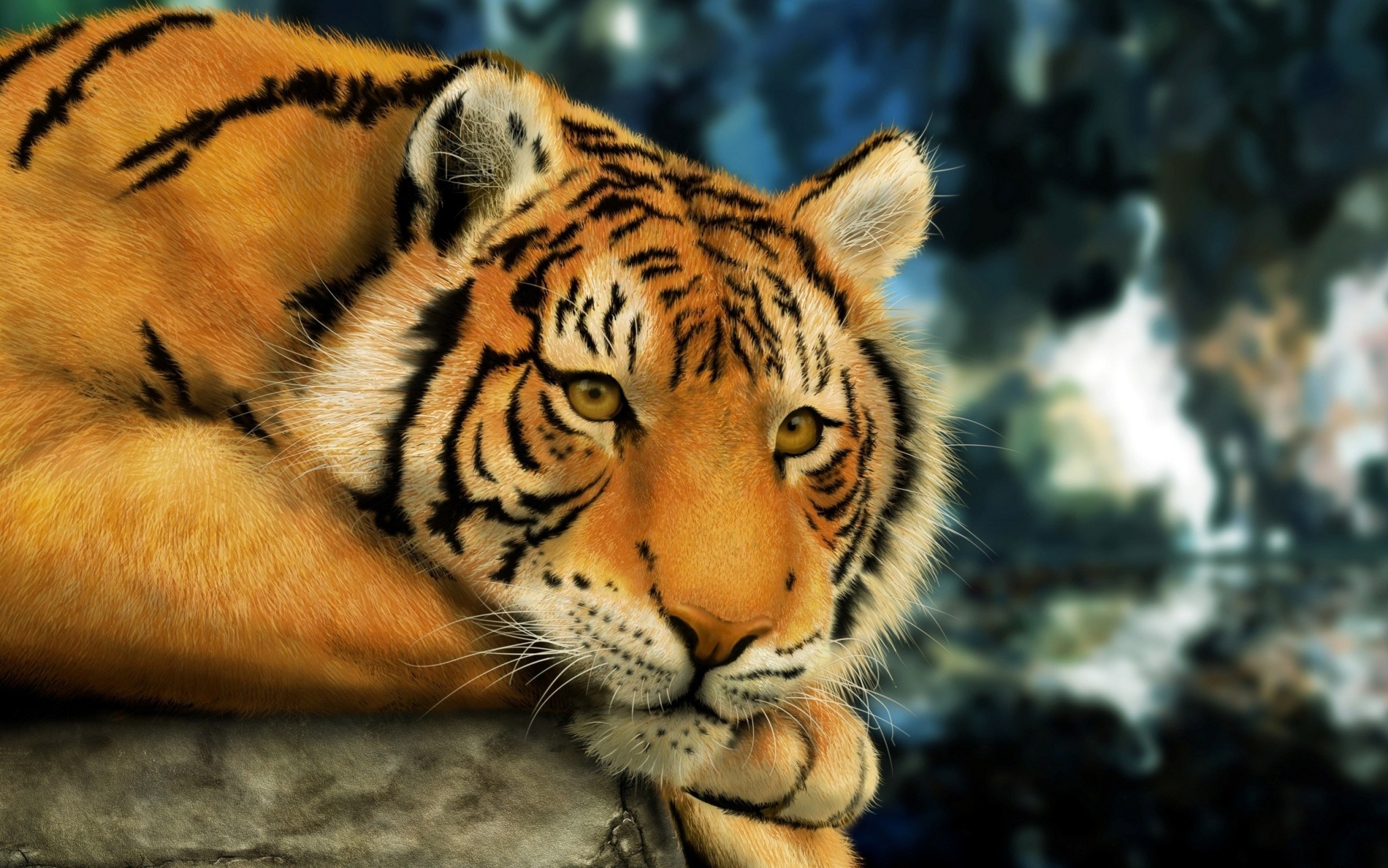 Tiger Desktop Backgrounds 65 Pictures