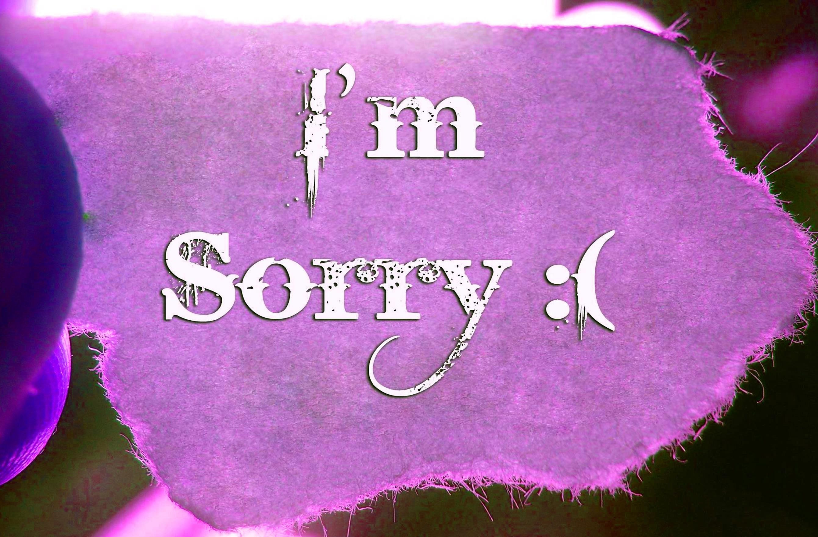 Sorry Wallpaper (67+ pictures)
