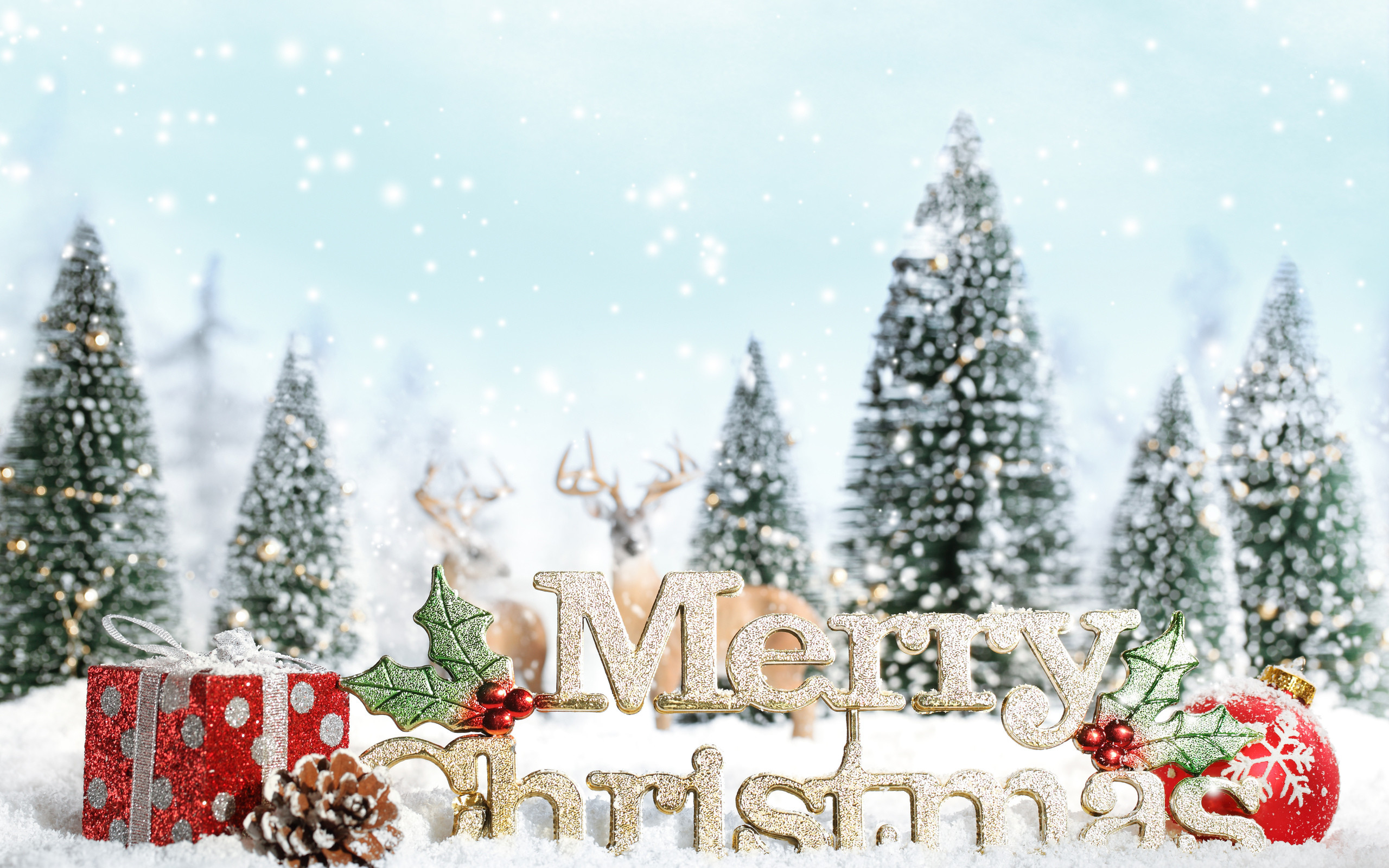 Merry X-Mas 2017 HD Wallpaper 2560x1600 2560x1600