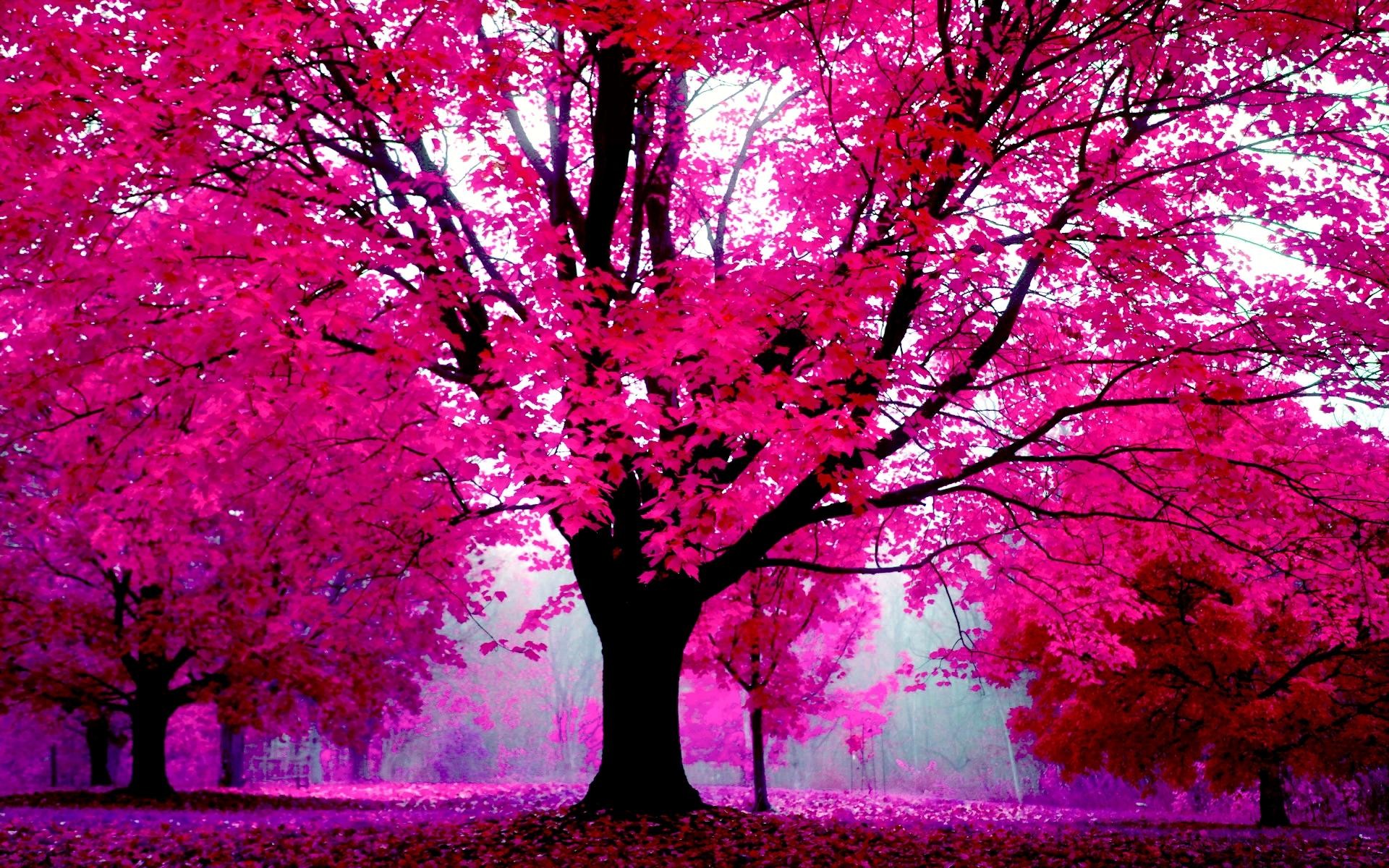 Pink Trees Wallpaper (58+ pictures)