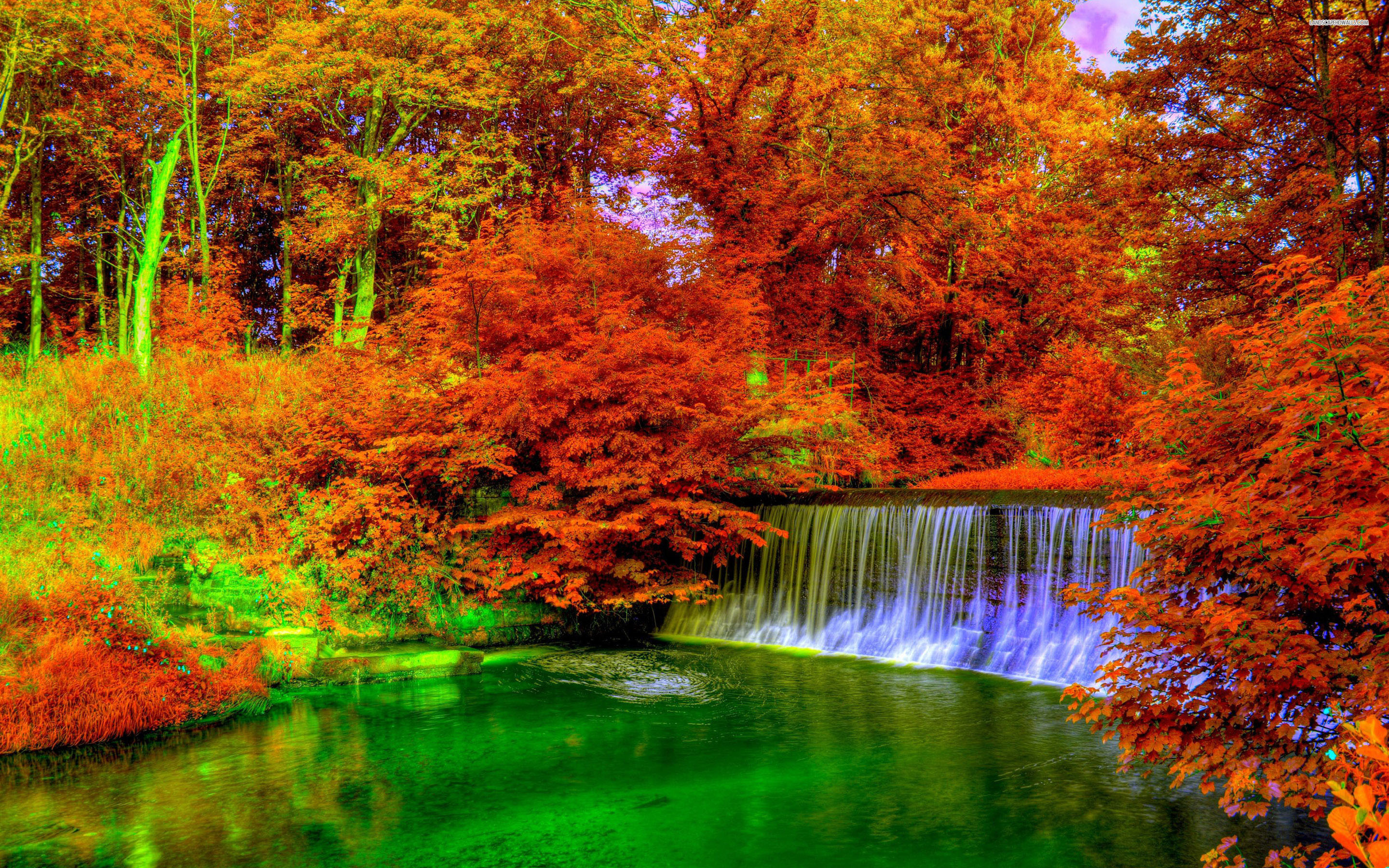 Fall Colors Wallpaper Background 75 Pictures WallpaperSet Fall Colors Wallpaper Background 75 Pictures WallpaperSet