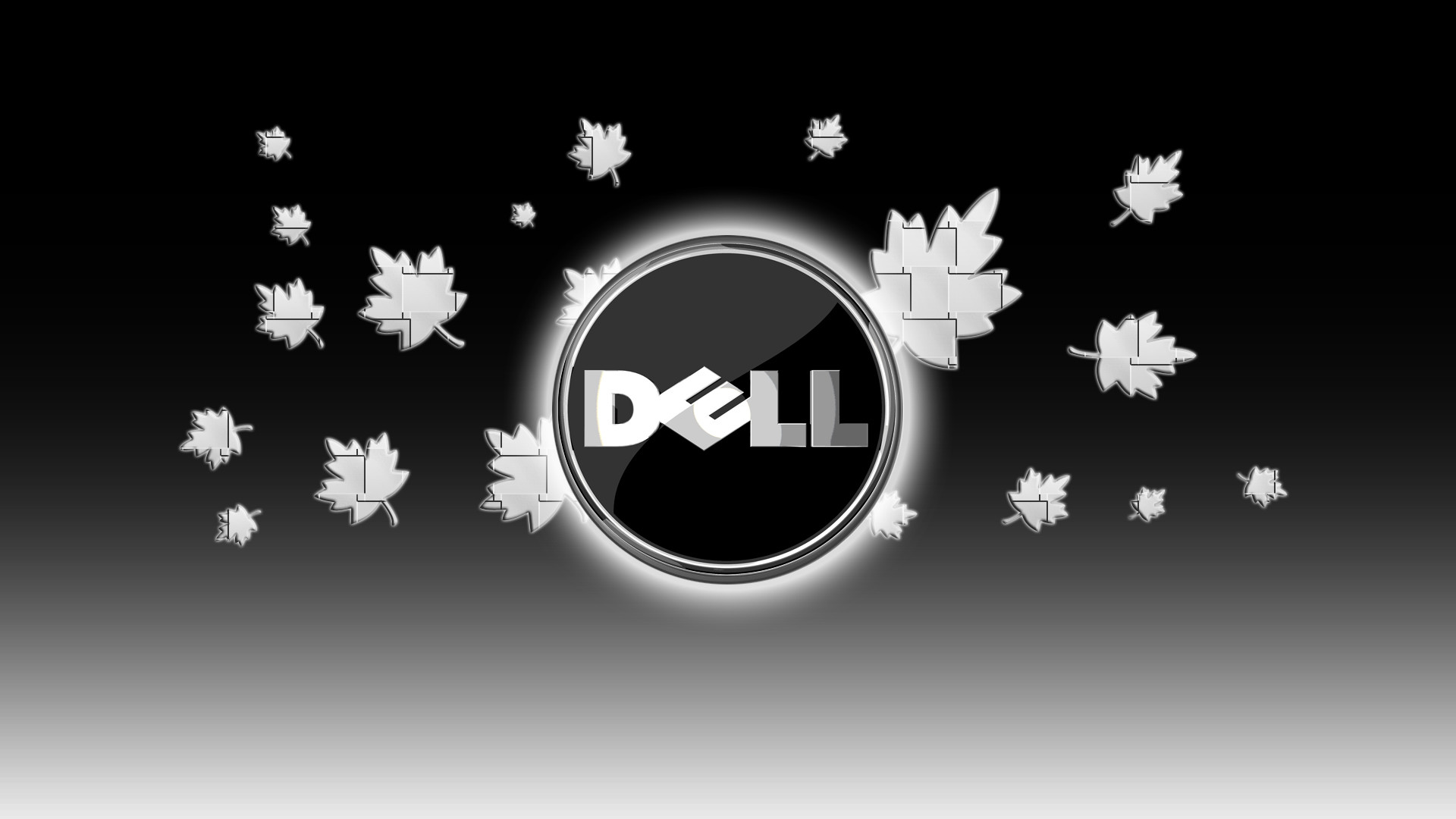Dell Wallpapers 64 Pictures