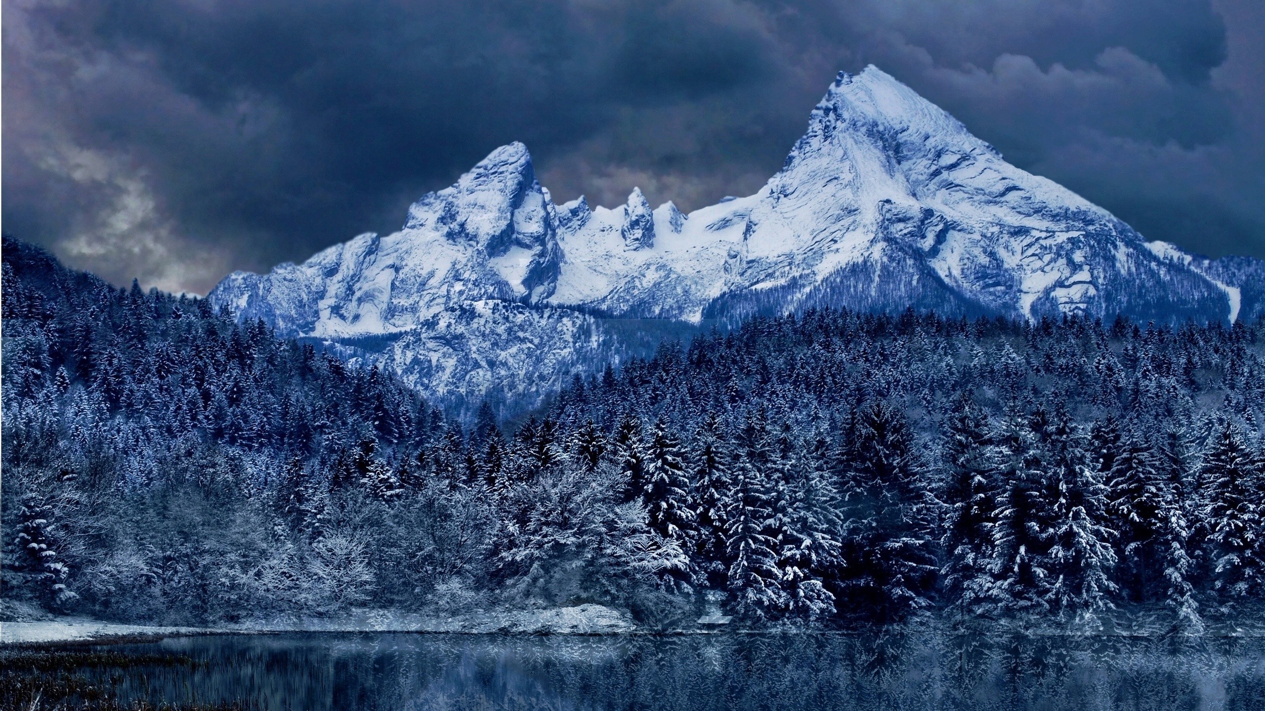 2560x1440 Winter Woods Mountains Scenic Mountain Desktop Backgrounds Nation...