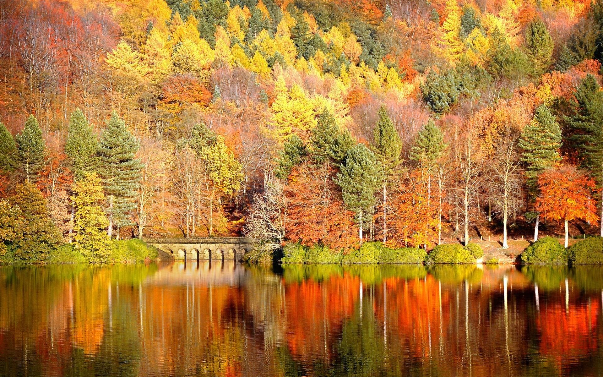Fall Wallpaper Free | Large HD Wallpaper Database 1920x1200