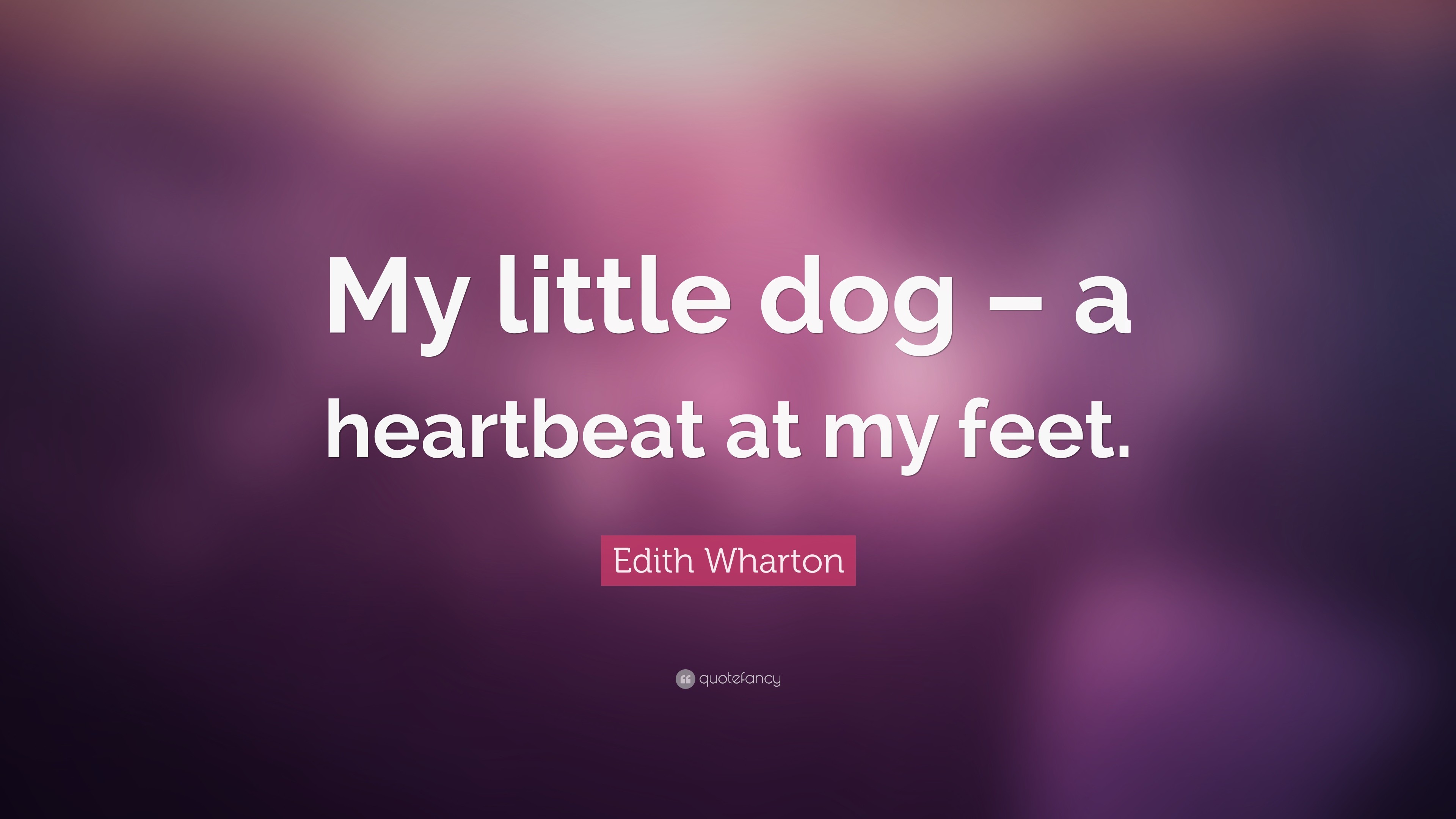 Edith Wharton Quote: “My little dog – a heartbeat at my feet.” 3840x2160