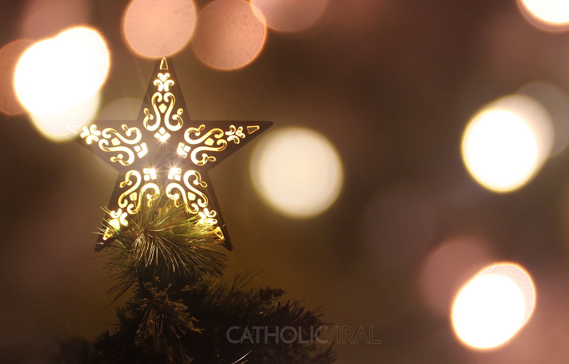 27 Christmas Season Celebration Photographs - HD Christmas Wallpapers - Christmas  Star 1920x1229
