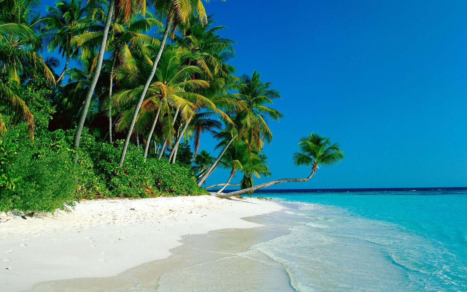 tropical-beach-new-hd-wallpapers-of-high-resolution- 1920x1200