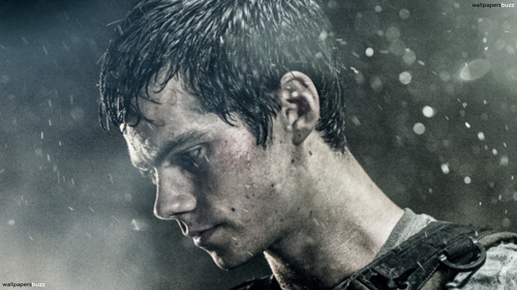 Maze Runner Wallpapers (74+ pictures)