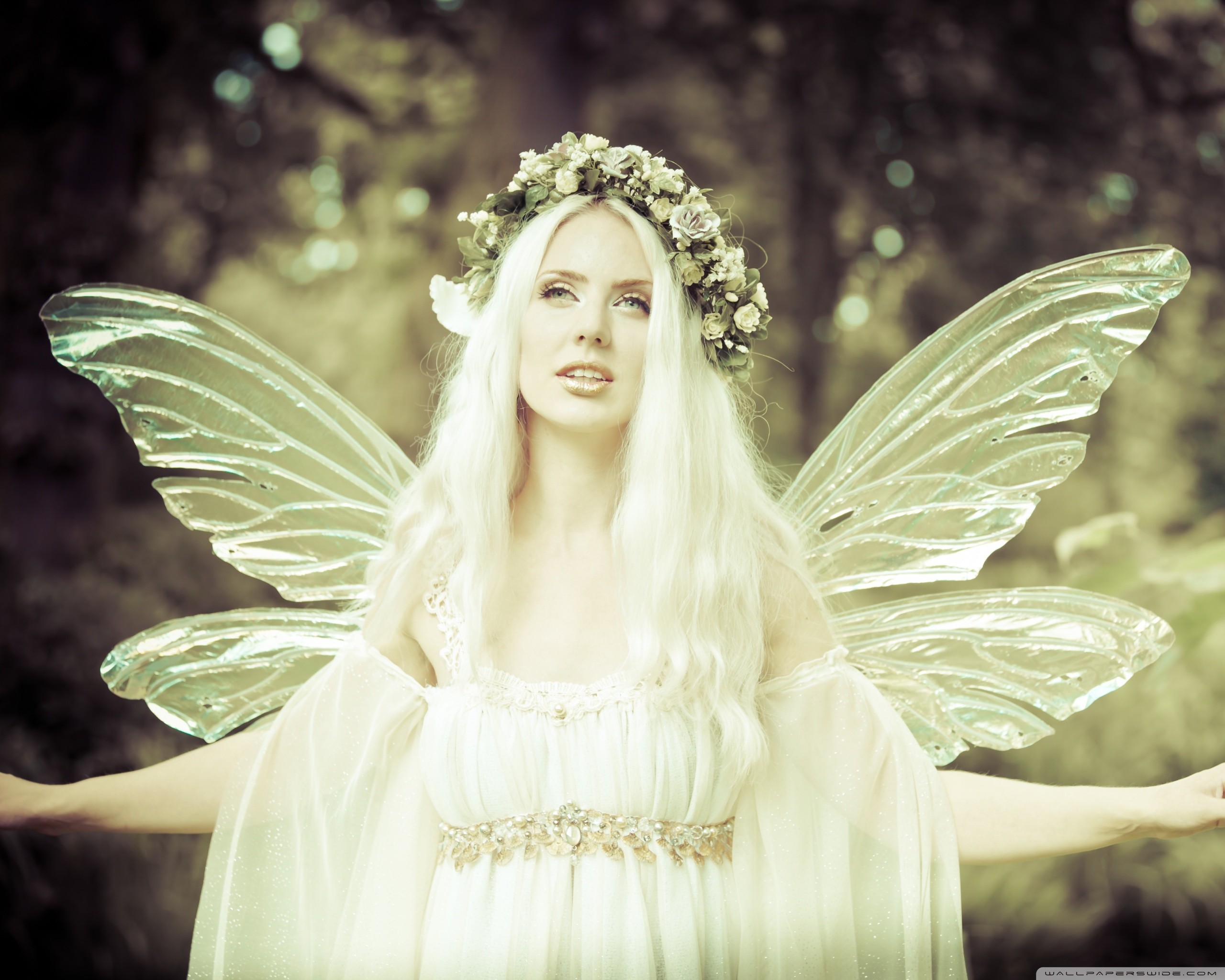Beautiful Fairies Wallpapers (54+ pictures)