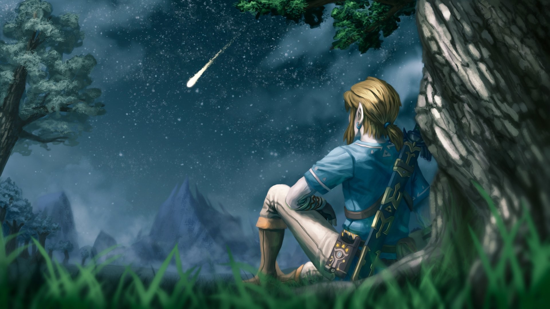 Link Wallpaper Hd