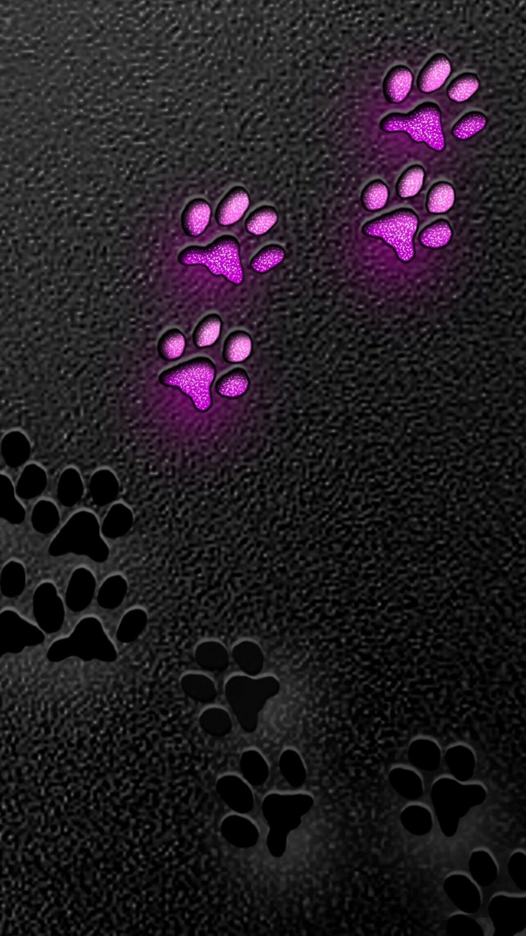 Paw Print Wallpaper (38+ pictures)