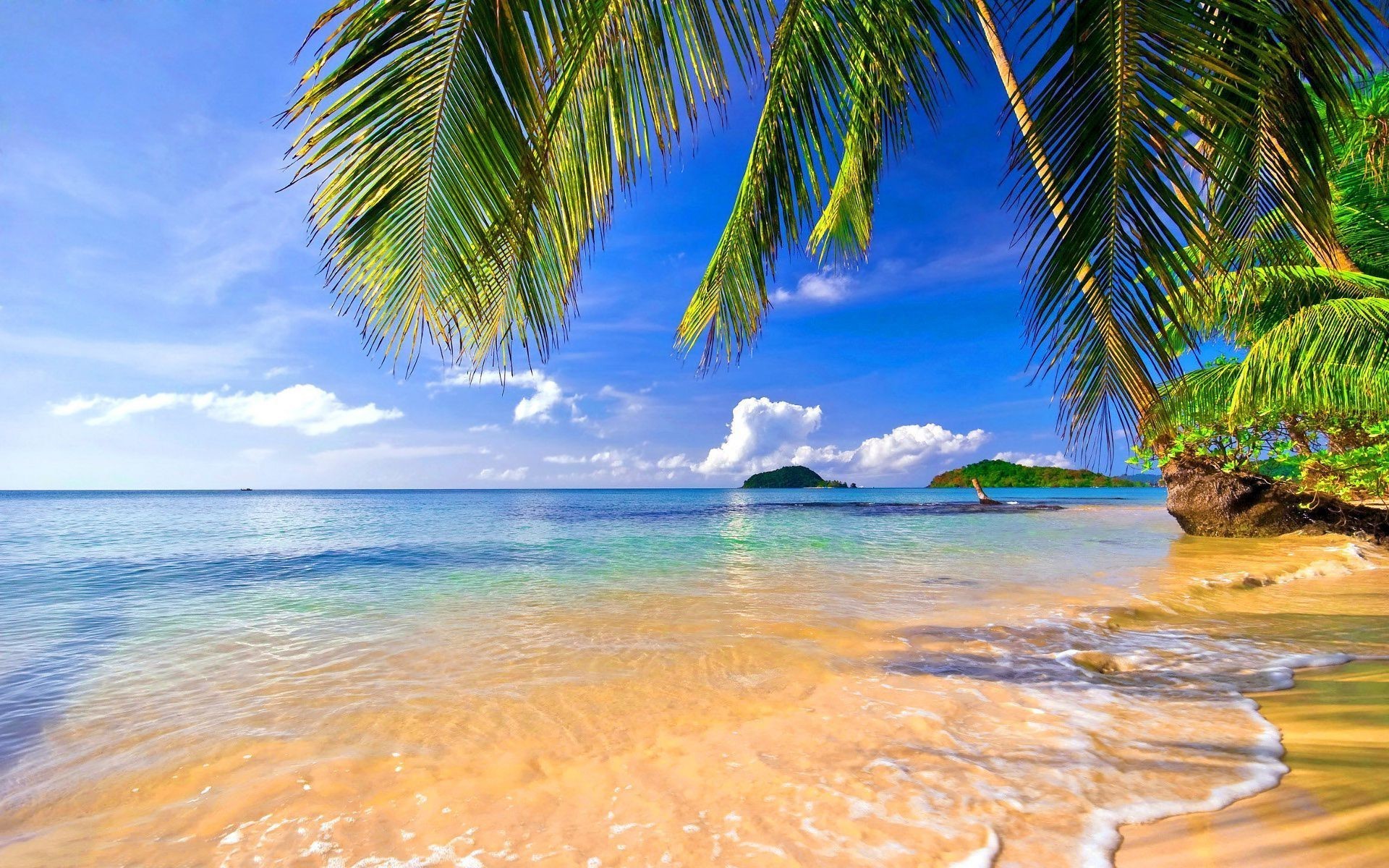 Tropical Wallpapers (69+ pictures)