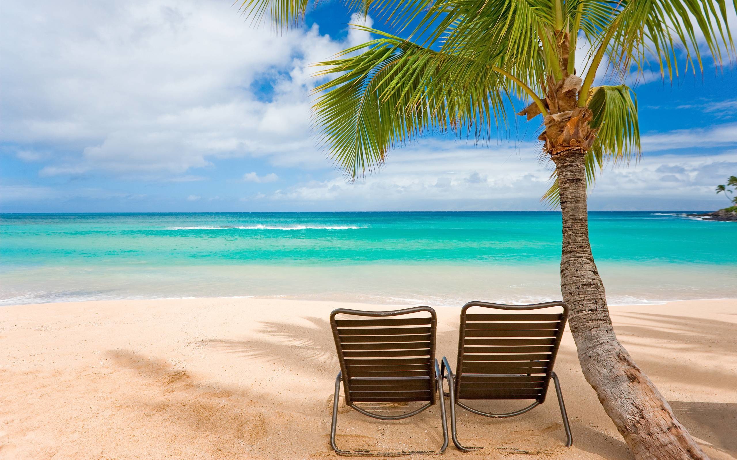 Tropical Beach Landscape Desktop Wallpapers Wallpaper Download - High  Resolution 4K Wallpaper