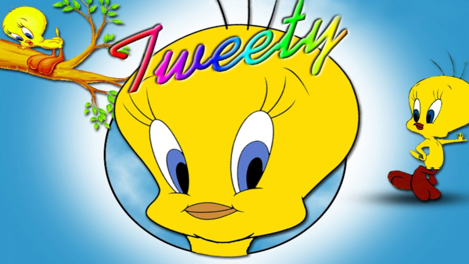 Tweety Bird Background 51 Pictures