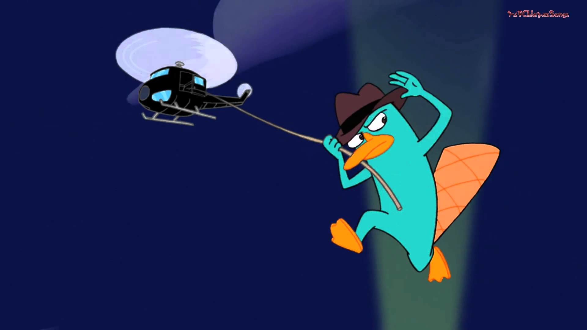 Perry the Platypus Ferb Fletcher Phineas Flynn Drawing others vertebrate  computer Wallpaper fictional Character png  PNGWing