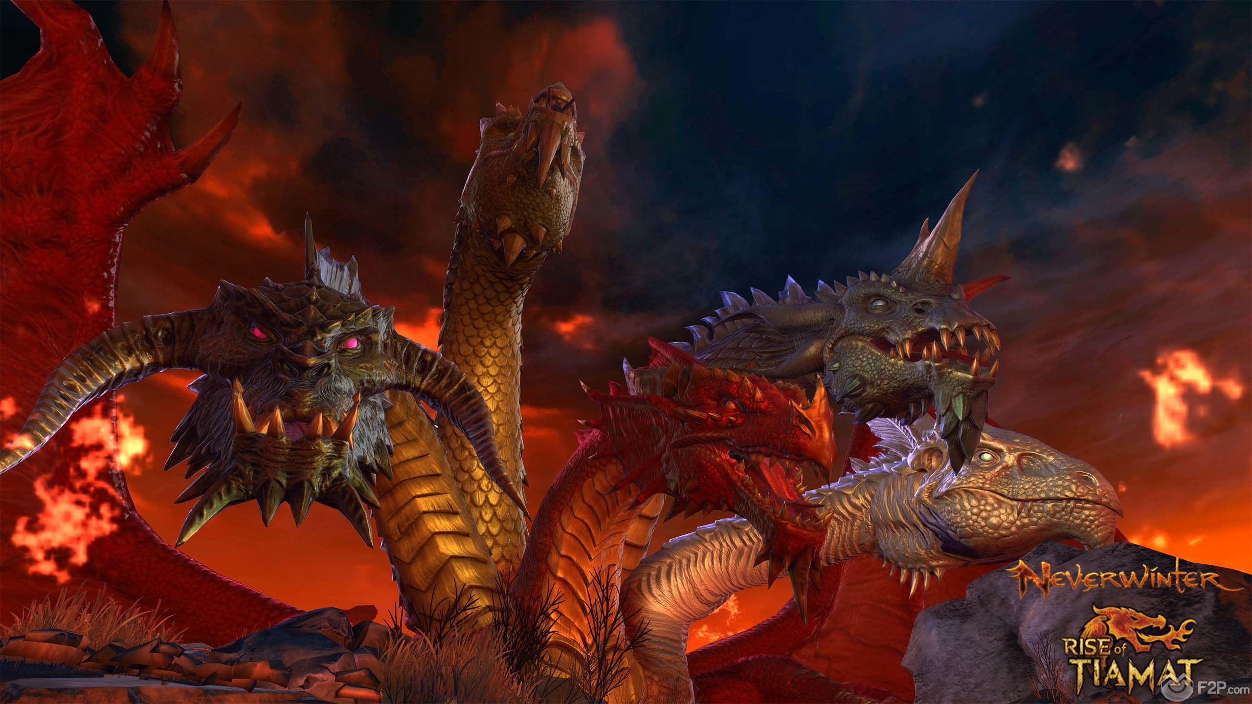 ... Rise of Tiamat | Dungeons & Dragons ... 2560x1440