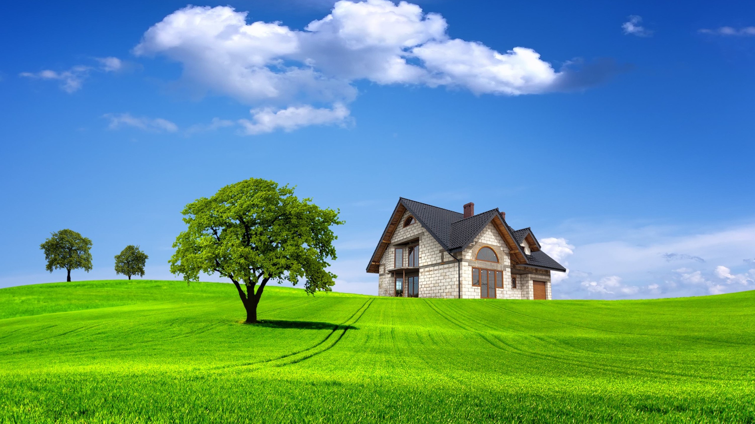 Desktop Nature Backgrounds 64 Pictures