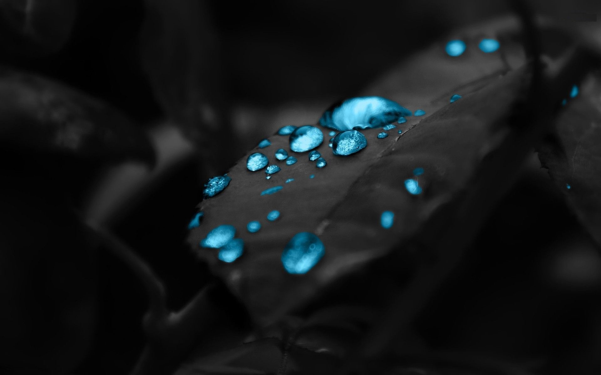 Dark Blue Wallpapers HD. 1920x1200