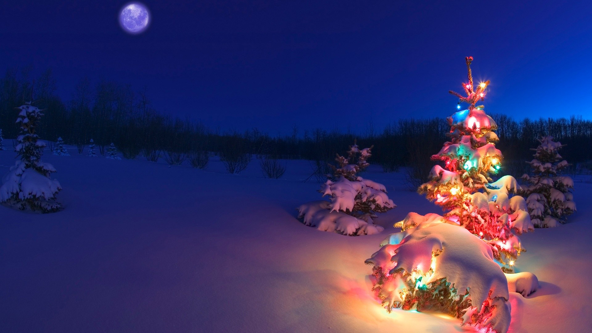 Christmas tree in the snow wallpapers and stock photos 1920x1080