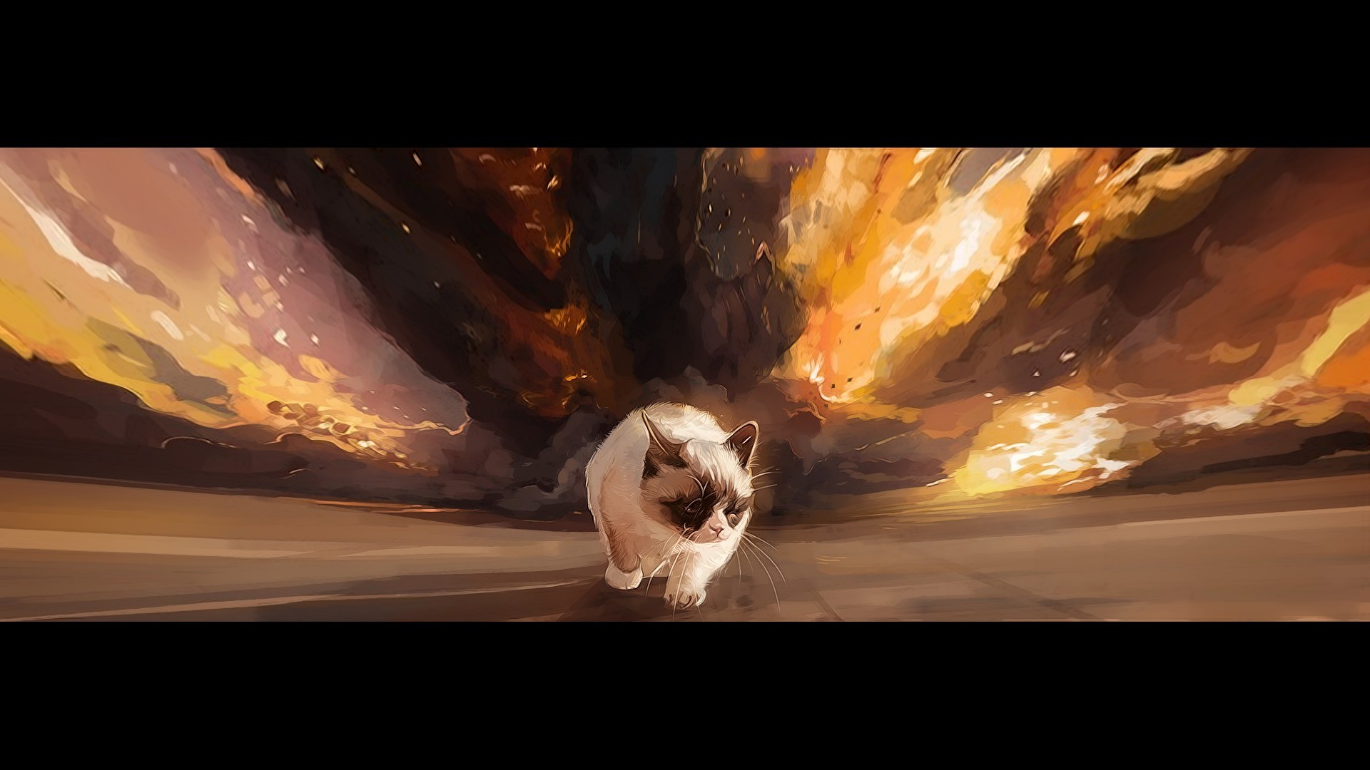 Обои котики мемы. Грустный кот арт. Кот на фоне взрыва. Эпический кот. Кошки арты.