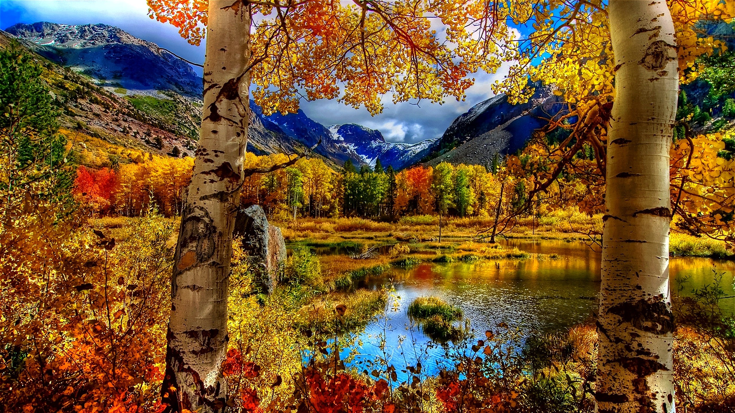 Fall Backgrounds (63+ pictures)