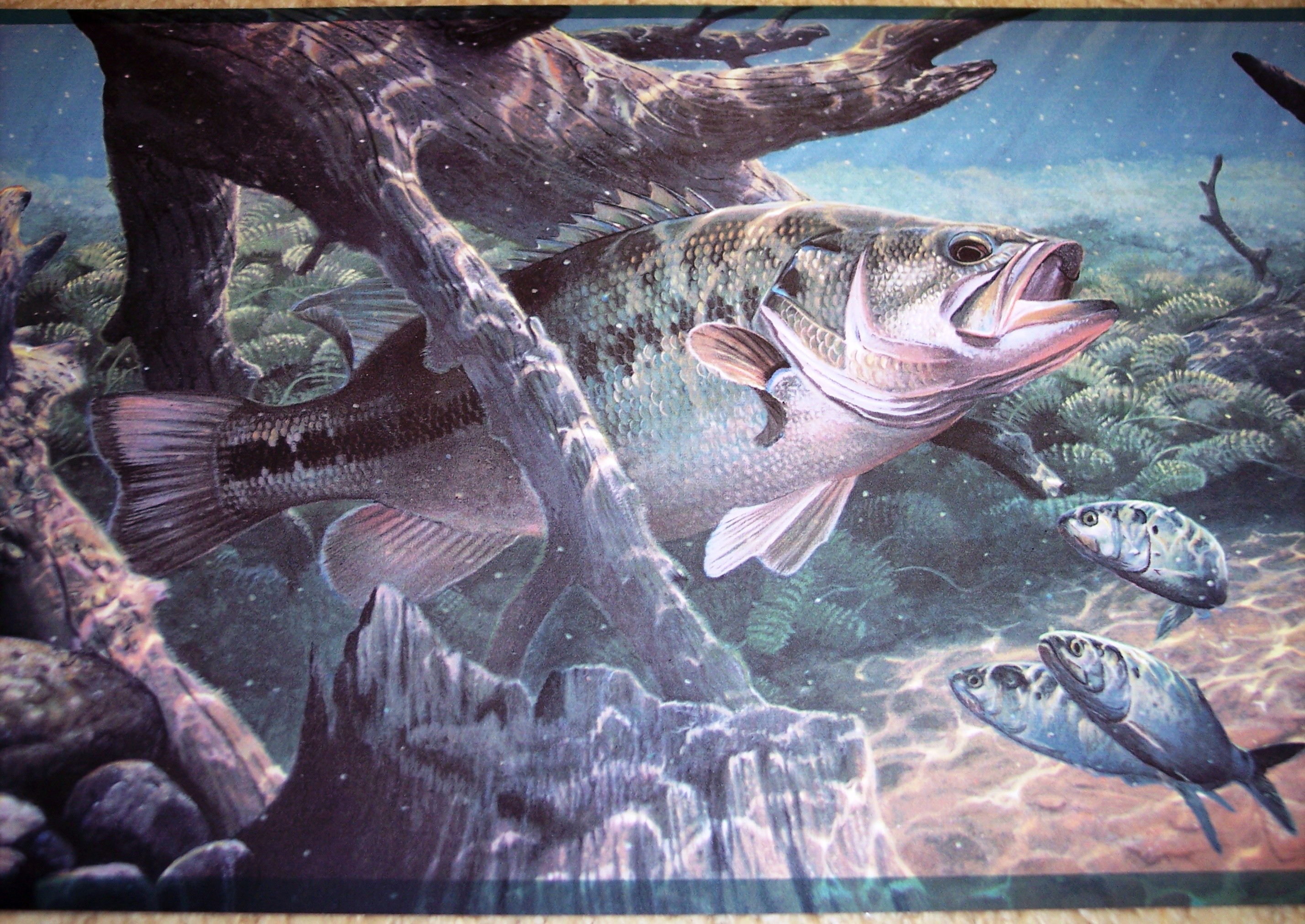 Wildlife Collage Series Canvas  Largemouth Bass For 2999  Fish  drawings Fish art Fish painting