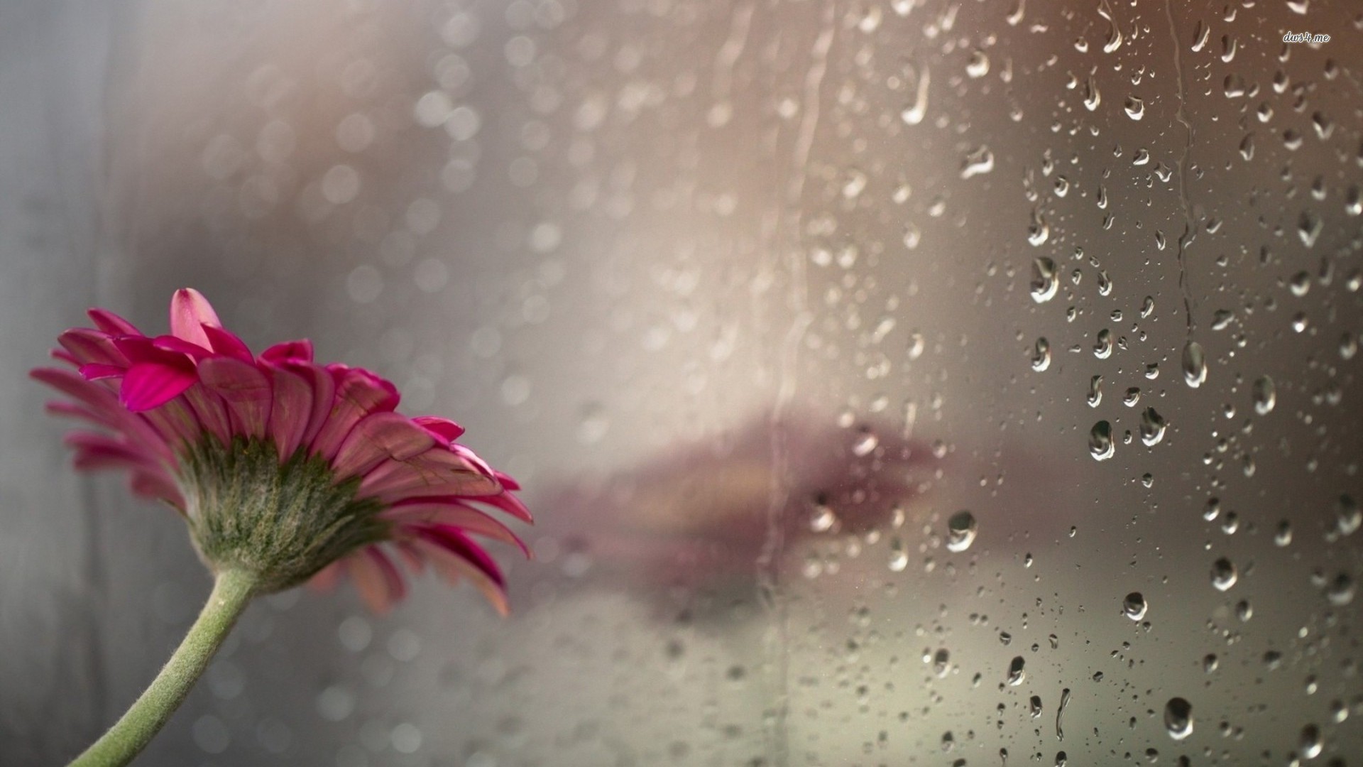 Rainy Day Wallpapers (62+ pictures)