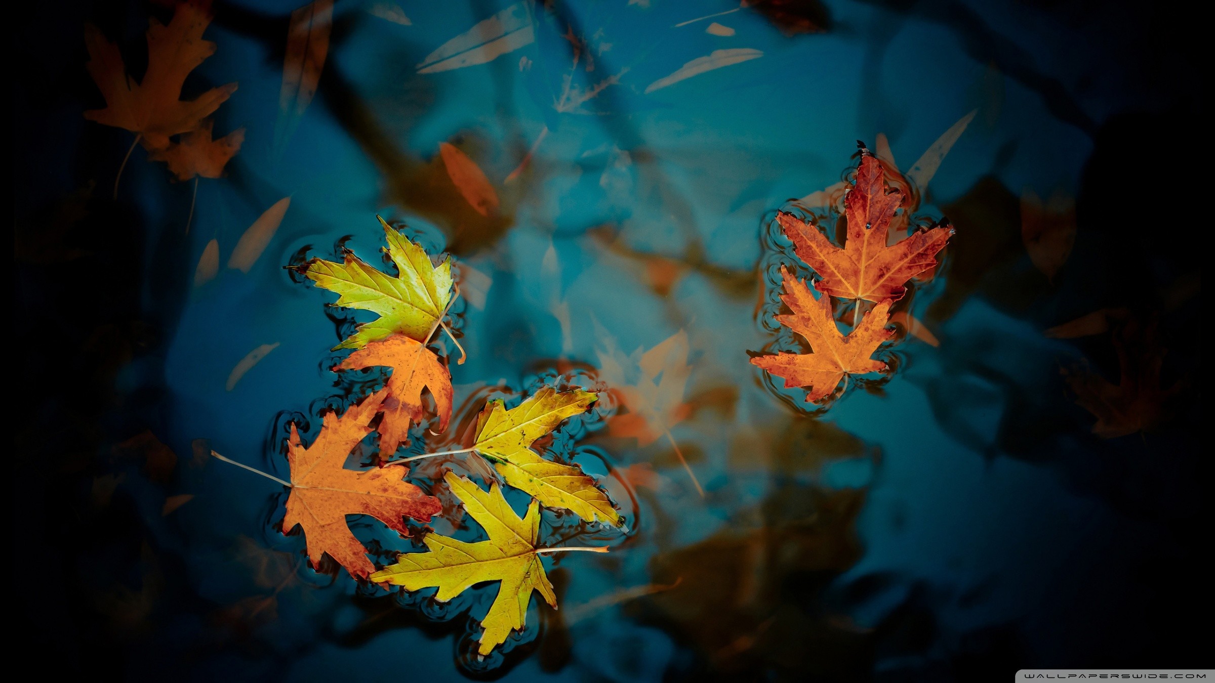HD 16:9 2400x1350