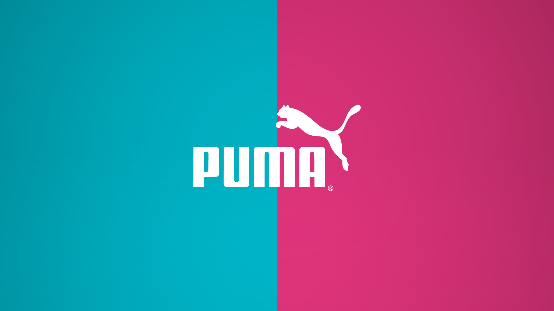 puma wallpaper hd download