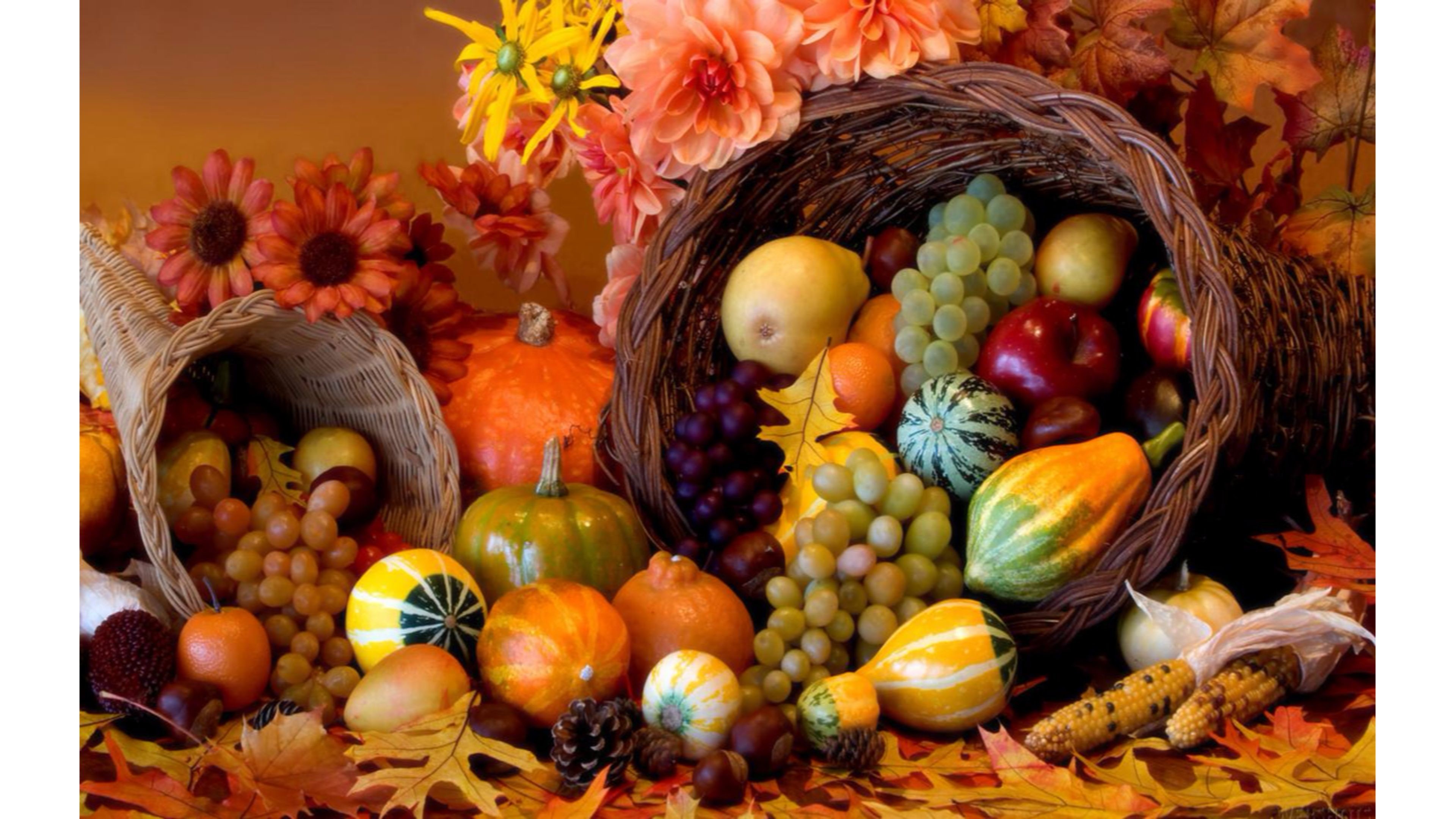 Осеннее богатство. МАБОН Рог изобилия. Осеннее равноденствие МАБОН. Праздник жатвы день Благодарения. Рог изобилия день Благодарения.