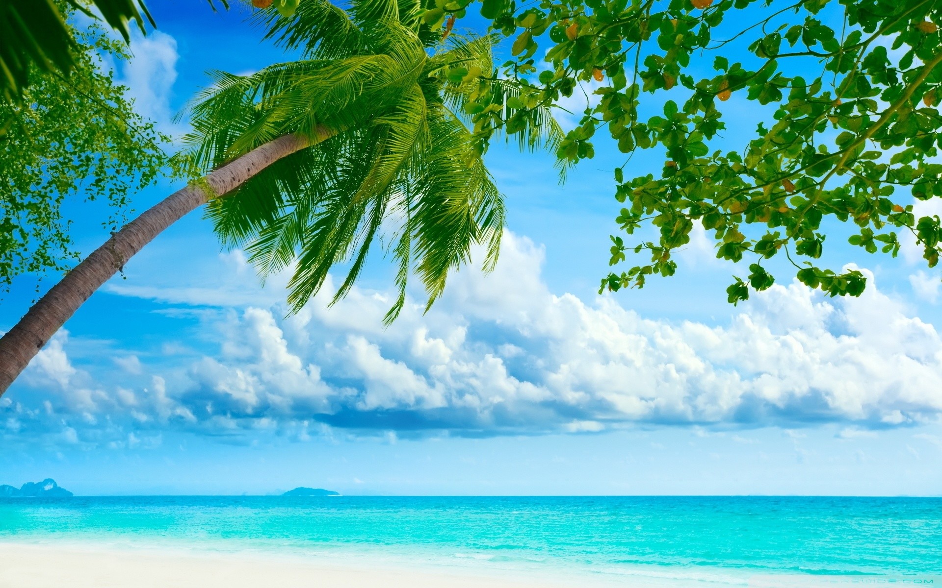 Hd Beach Wallpapers 63 Pictures