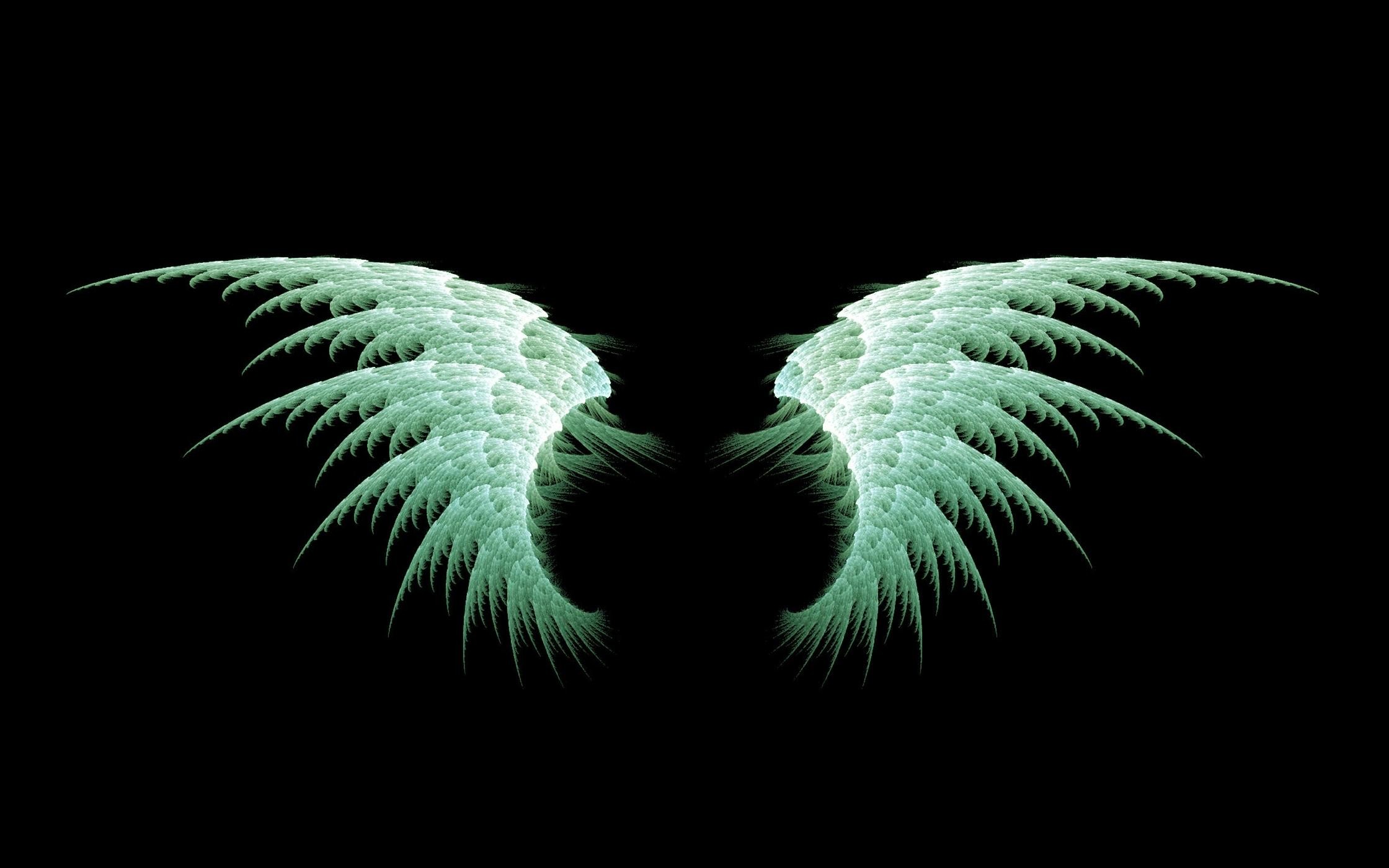 Angel Wings Wallpaper (72+ pictures)